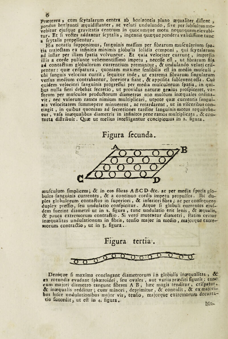 Praeterea $ com fcytalarum centri ab borizontìs plano aeflualiter diflent , pondus horizonti aequidiftanter, ac rehiti undulando, Cve per fubfultusmo- rebitur cjufque gravitatis centrum in quocumque motu nequaquamelevabi- tur» Et fi veéles addantur fcytalis, ingentia quacque pondera validilTime tunc a fcytalis propcllentur. His notatis fupponimus, fanguinis maflam per fibrarum mufcuJarium fpa. tia trajeflam ex infinitis minimis globulis folidis componi > qui fcytalarun^ ad inftar per illam fpatia volvuntur. Et quia velociter currunt , imprefio illis a corde pulfante vehcmentiffimo impetu , neceflfe cfi , ut fibrarum fila ad contaftum globulorum currentium premantur » &■ undulando veluticrif- pentur : quae crifpatura, quoniam maxime fenfibilis eli in medio mufculi ^ ubi languis vclocius currit > fequitur inde j ut extrema fibrarum fingularum verfus medium contrahantur, breviora fiant, &appofita fublevent offa. Cur quidcm velociori fanguinis progrcffui per media mulculorum fpatia, in qui- bus nulla fieri debebat fecretio, ut providus naturae ge»ius profpiceret, va- forum per mufculos produftorum diametros non multum inaequales ordina- vit ; nec vaiorum ramos nimium multiplicari, utpote quss currentis fangui- ais velocitatem fummopere minuerent, ac retardarent, ut in vifceribus con- tingit , in quibus quoniam ad fecretiones tardior fanguinis motus requireba- tur , vafa inaequalibus diametrfs in infinitos pene ramos multiplicata , &con'- toita difitibuit. Qpse; ut melius intelligantur concipiemus in z. figura. Figura fccunJa. A. /'('ì’cy ;n r>C)^rT tnufculum fimplicem; & in eos fibras ABCD &c. ac per media fpatia glo- bulos fanguinis currentes, & a continuo cordis impetu propulfos. Ibi du- ples globulorum contaftus in fuperiori, & inferiori fibra ,* ac per confequens duplex predio, feu undulatio confpicitur . Atque fi globuli currentes cjuf- dem fuerint diametri ut in z. figura , tunc undulatio erit lenis, & aequalis» Se pauca extremorum contraftio . Si vero' mutentur diametri, fiatino oritur inasqualitas undulationum in fibris, tenfio major in medio, majorque extre-*-' morum contradio> ut in 3. figura.- Figura tertia. Denìque fi maxima contingant diametrorunì in globulis ingequalitat > St 9X rotundis evadant fpbaeroidei, feu ovales , aut variis praediti figuris : tur>c. cuno majori diametro tangunt fibram A B, haec magis tenditur , crifpatur* & inaequalis redditurcum minori, deprimitur , Se concidit, Se exmajori- bus hifee undulationibus major vis, teofio, majorque extremorum decvnta- tio fuccedit, ut eft in 4. figura ».