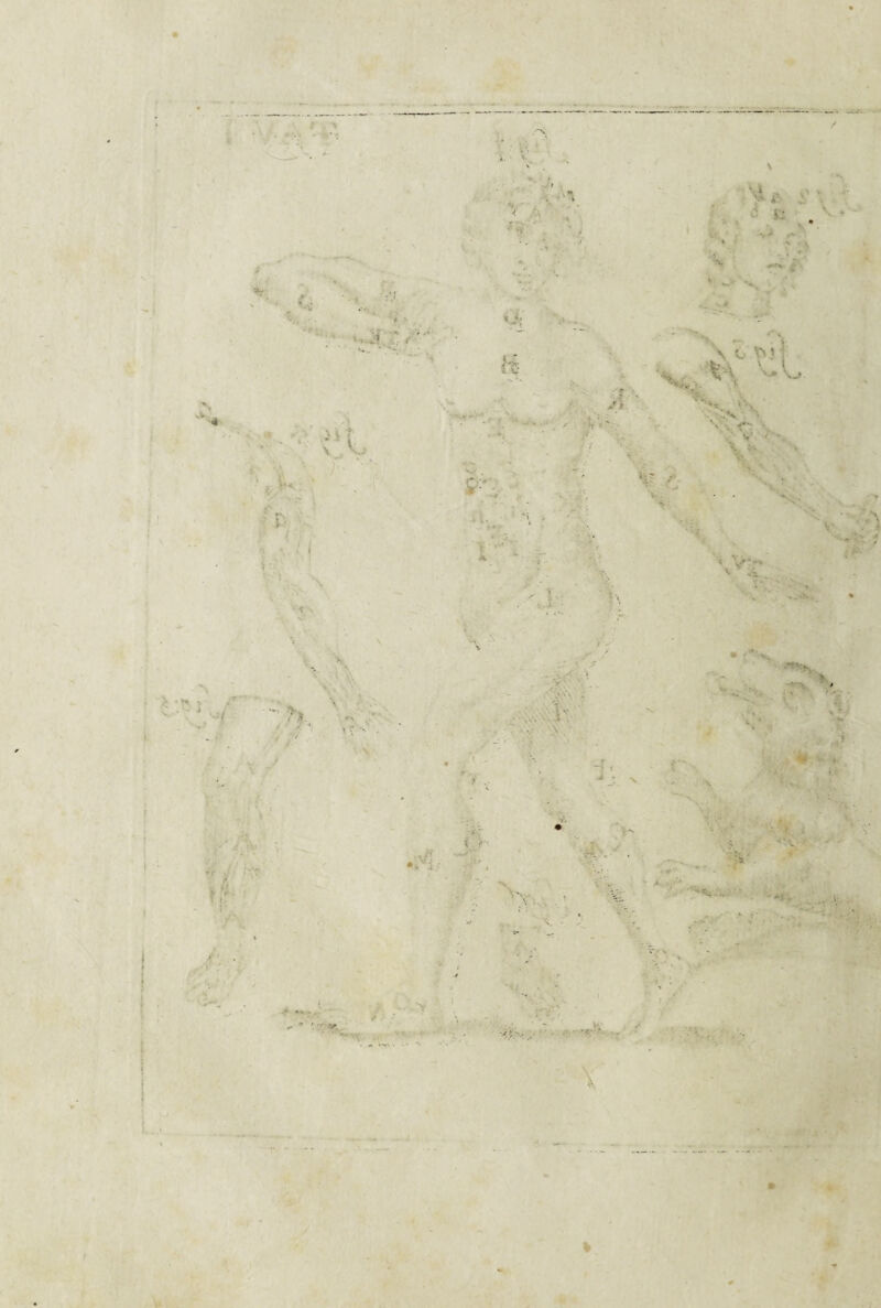 i I I ■ ( i'. ' \ ■' i , w V* ,P- i # % Vf