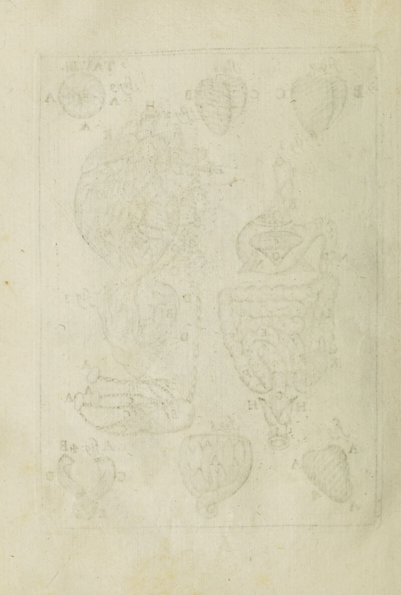 % \ w- V r> I • ^ - 1 f > i », * ' V J ^ r i . ■ / N f