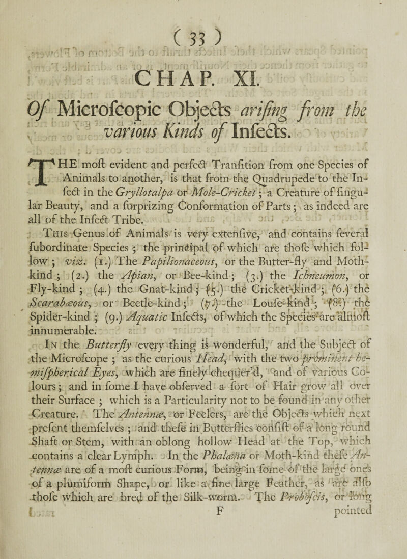 i -T • , • \ .• o r • x7 i ( 33 ) 3 O'. J ilJ tl J \ II • i U 10j CHAP. XI. g Of Microfcopic Objects arifing from the various Kinds of Infe&s. . u • i .. f +■ # .<■ -* ' -*•’ HE moft evident and perfect Tranfition from one Species of Animals to another, is that from the Quadrupede to the In¬ fect in the Gryllotalpa or Mole-Cricket; a Creature of lingu¬ lar Beauty, and a furprizing Conformation of Parts; as indeed are all of the Infed Tribe. This Genus of Animals is very extenfive, and contains feveral fubordinate Species ; the principal of which are thofe which fol¬ low ; viz. (i.) The Papilionaceous, or the Butter-fly and Moth- kind ; (2.) the Apian, or Bee-kind; (3.) the Ichneumon, or Fly-kind ; (4.) the Gnat-kind; (5.) the Cricket-kind ;. (6.) the Scarabrcous, or Beetle-kind; (tyi)--the Loufe-ki-nd ; ' (8.) the Spider-kind ; (9.) Aquatic Infeds, of which the Species-are almoft innumerable. In the Butterfly every thing is wonderful, and the Subjed of the Microfcope ; as the curious Head* with the two prominent he- mifpherical Eyes, which are finely chequer’d, and of various Co¬ lours; and in fome I have obferved a fort of Hair grow all over their Surface ; which is a Particularity not to be found in any other Creature. The Antennor Feelers, are the Objeds which next prefent themfelves ; and thefe in Butterflies cob lift of a long round Shaft or Stem, with an oblong hollow Head at the Top, which contains a clear Lymph. I11 the Phalcena or Moth-kind thefe Art- tennee are of a moft curious Form, being in fome of the large ones of a plumiform Shape, >or like a fine> large Feather, as ar£ 31 fp thofe which are bred of the Silk-worm. The Prob'tfcis, or Jong ( , F pointed