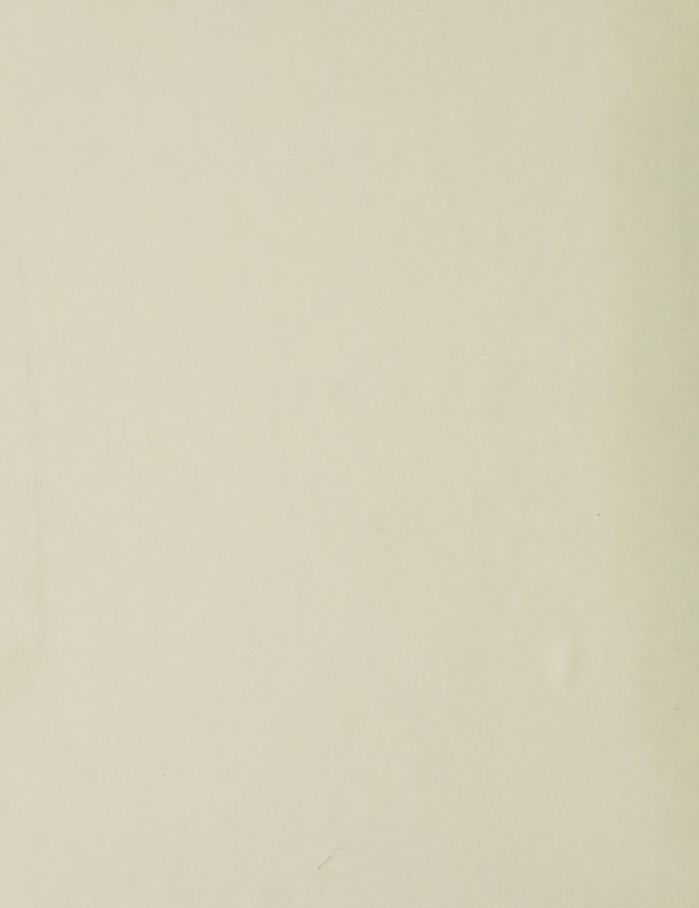 digitised image 2