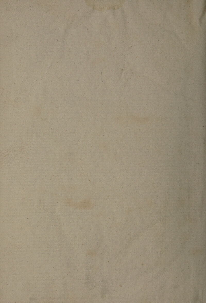 v • . / I \ ■ \ t . ■,