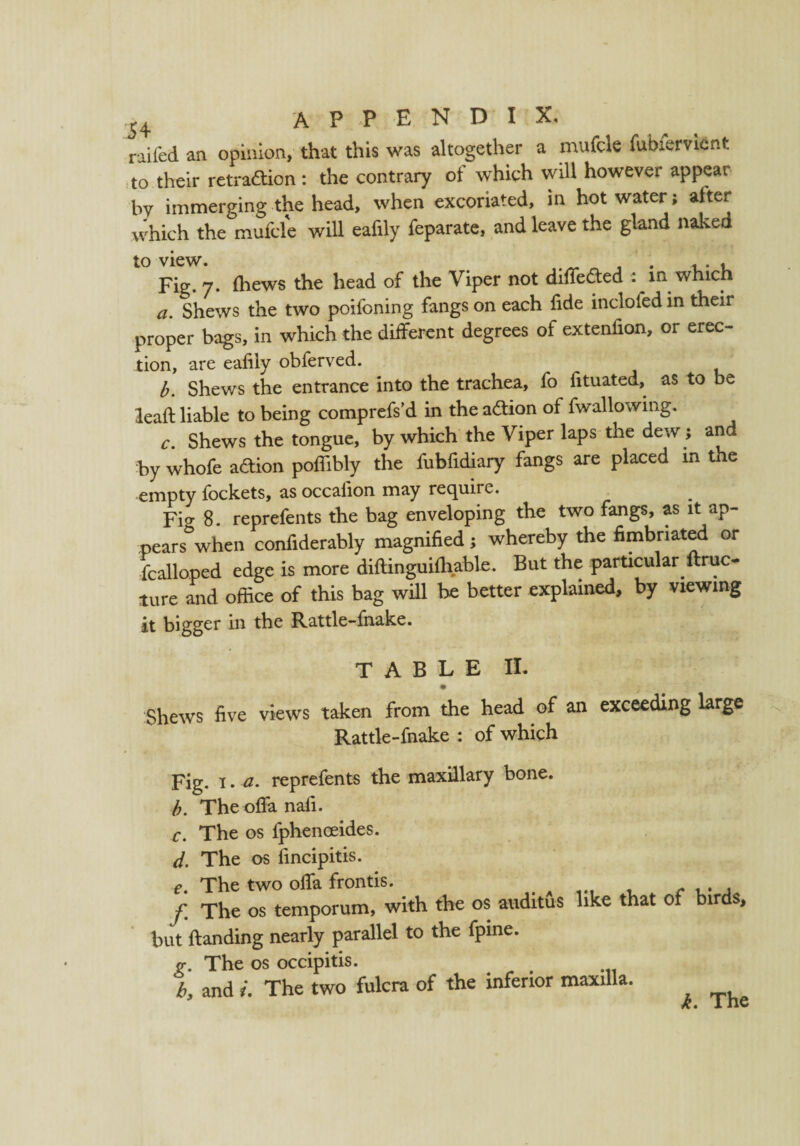 railed an opinion, that this was altogether a mufcle fubiervient to their retraction: the contrary of which will however appear by immerging the head, when excoriated, in hot water; after which the mufcle will eafily feparate, and leave the gland naked to view. . , . , Fig. 7. (hews the head of the Viper not differed in which a. Shews the two poifoning fangs on each fide inclofed in their proper bags, in which the different degrees of extenfion, or erec¬ tion, are eafily obferved. b. Shews the entrance into the trachea, fo fituated, as to be lead liable to being comprefs’d in the aCtion of fwallowing. c. Shews the tongue, by which the Viper laps the dew; and by whofe aCtion poffibly the fubfidiary fangs are placed m the empty fockets, as occalion may require. Fio- 8. reprefents the bag enveloping the two fangs, as it ap- pears&when confiderably magnified; whereby the fimbriated or fcalloped edge is more diftinguifhable. But the particular ftruc- ture and office of this bag will be better explained, by viewing it bigger in the Rattle-fnake. TABLE II. Shews five views taken from the head of an exceeding large Rattle-fnake : of which Fig. i • a. reprefents the maxillary bone. b. The offa nafi. c. The os fphenceides. d. The os fincipitis. f. The os temporum, with the os auditus like that of birds, but ftanding nearly parallel to the fpine. g. The os occipitis. b, and i. The two fulcra of the inferior maxilla. k. The