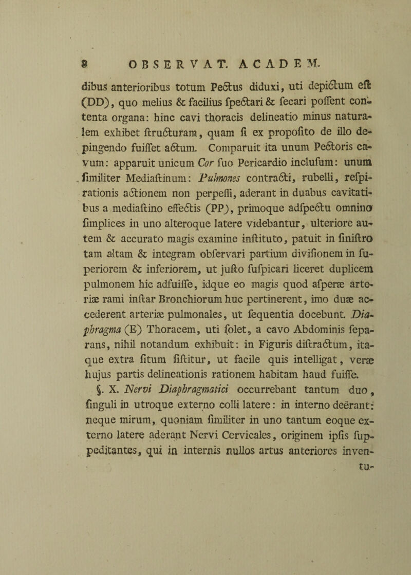 dibus anterioribus totum Pe5tus diduxi, uti depi6tum eft (DD), quo melius & facilius fpe6tari & fecari pollent con¬ tenta organa: hinc cavi thoracis delineatio minus natura¬ lem exhibet ftru6hiram, quam li ex propofito de illo de¬ pingendo fuiflet adhim. Comparuit ita unum Pe6toris ca¬ vum: apparuit unicum Cor fuo Pericardio inclufum: unum .fimiliter Mediaftinum: 'Pulmones contra6li, rubelli, refpi- rationis adfcionem non perpelli, aderant in duabus cavitati¬ bus a mediaftino effe6tis (PPJ, primoque adfpe&u omnino fimplices in uno alteroque latere videbantur, ulteriore au¬ tem & accurato magis examine inftituto, patuit in liniftro tam altam & integram obfervari partium divilionem in fu- periorem & inferiorem, ut jufto fufpicari hceret duplicem pulmonem hic adfuilfe, idque eo magis quod afperte arte¬ riae rami inftar Bronchiorum huc pertinerent, imo duae ac¬ cederent arteriae pulmonales, ut fequentia docebunt Dia¬ phragma (E) Thoracem, uti folet, a cavo Abdominis fepa- rans, nihil notandum exhibuit: in Figuris diftra&um, ita¬ que extra litum liftitur, ut facile quis intelligat, vera; hujus partis delineationis rationem habitam haud fuilfe. §. X. Nervi Diaphragmatici occurrebant tantum duo, finguli in utroque externo colli latere: in interno deerant: neque mirum, quoniam fimiliter in uno tantum eoque ex¬ terno latere aderant Nervi Cervicales, originem iplis fup- peditantes, qui in internis nullos artus anteriores inven¬ tu-