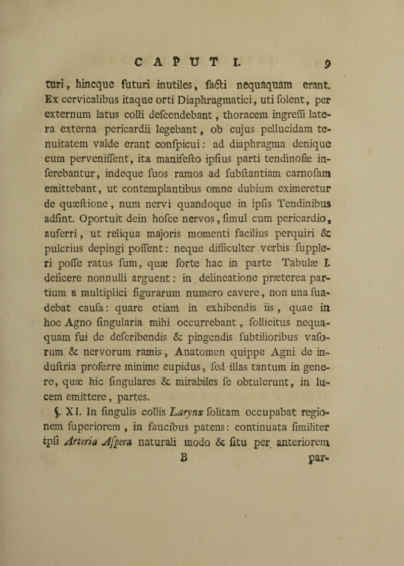 turi, hincque futuri inutiles, fa6ti nequaquam erant. Ex cervicalibus itaque orti Diaphragmatici, uti folent, per externum latus colli defcendebant, thoracem ingreffi late¬ ra externa pericardii legebant, ob cujus pellucidam te¬ nuitatem valde erant confpicui: ad diaphragma denique cum pervenifient, ita manifefto iplius parti tendinofse in¬ ferebantur, indeque fuos ramos ad fubilantiam carnofam emittebant, ut contemplantibus omne dubium eximeretur de quaeliione, num nervi quandoque in ipfis Tendinibus adfint, Oportuit dein hofce nervos,fimul cum pericardio, auferri, ut reliqua majoris momenti facilius perquiri Sc pulcrius depingi polfent: neque difficulter verbis fupple- ri poffie ratus fum, quae forte hac in parte Tabulae I. deficere nonnulli arguent: in delineatione praeterea par¬ tium a multiplici figurarum numero cavere, non una fua- debat caufa: quare etiant in exhibendis iis , quae in hoc Agno lingularia mihi occurrebant, follicitus nequa¬ quam fui de defcribendis & pingendis fubtilioribus vafo- rum & nervorum ramis, Anatomen quippe Agni de in- duftria proferre minime cupidus, fed illas tantum in gene¬ re, quae hic fingulares & mirabiles fe obtulerunt, in lu¬ cem emittere, partes. XI. In lingulis collis Larynx folitam occupabat regio nem fuperiorem , in faucibus patens: continuata limiliter ipfi Arteria Afpera naturali modo & litu per anteriorem B par-