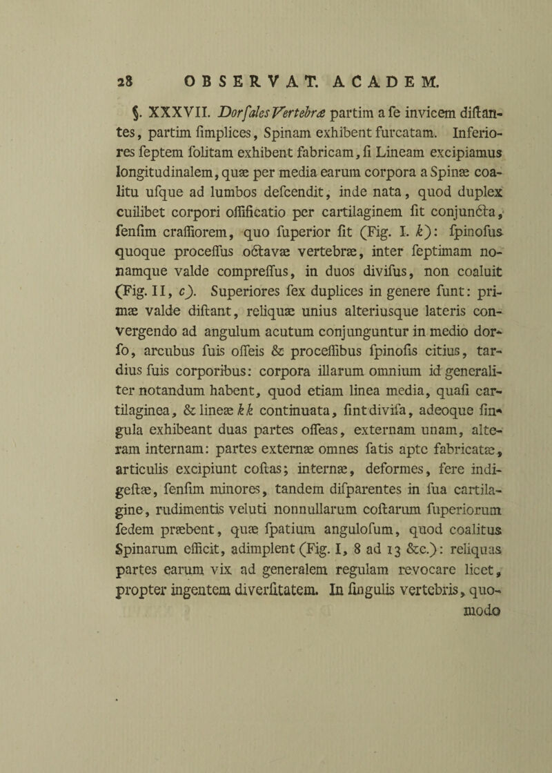 §. XXXVII. Dorf'ales Vertebra partim afe invicem diflan¬ tes , partim limplices, Spinam exhibent furcatam, Inferio¬ res feptem folitam exhibent fabricam,ii Lineam excipiamus longitudinalem, quae per media earum corpora a Spinae coa¬ litu ufque ad lumbos defcendit, inde nata, quod duplex cuilibet corpori offilicatio per cartilaginem fit conjundla, fenlim craffiorem, quo fuperior fit (Fig. I. k'): fpinofus quoque proceffus odtavae vertebrae, inter feptimam no- namque valde comprelfus, in duos divifus, non coaluit (Fig. II, c). Superiores fex duplices in genere funt: pri¬ mae valde diftant, reliquae unius alteriusque lateris con¬ vergendo ad angulum acutum conjunguntur in medio dor* fo, arcubus fuis olfeis & proceffibus fpinofls citius, tar¬ dius fuis corporibus: corpora illarum omnium id generali¬ ter notandum habent, quod etiam linea media, quali car¬ tilaginea, & lineae continuata, lintdivifa, adeoque lin* gula exhibeant duas partes offeas, externam unam, alte¬ ram internam: partes externae omnes fatis apte fabricatae., articulis excipiunt collas; internae, deformes, fere indi- gellae, fenlim minores, tandem difparentes in fua cartila¬ gine, rudimentis veluti nonnullarum collarum fuperiorum fedem praebent, quae fpatium angulofum, quod coalitus Spinarum efficit, adimplent (Fig. I, 8 ad 13 &.c.): reliquas partes earum vix ad generalem regulam revocare licet, propter ingentem diverfitatem. In lingulis vertebris, quo¬ modo