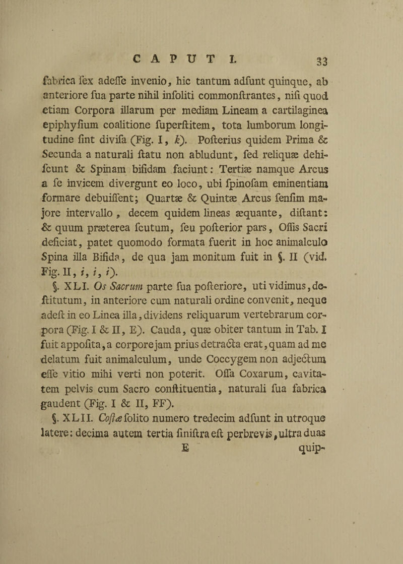 fabrica fex adefie invenio, hic tantum adfunt quinque, ab anteriore fua parte nihil infoliti commonftrantes, nifi quod etiam Corpora illarum per mediam Lineam a cartilaginea epiphyfium coalitione fuperftitem, tota lumborum longi¬ tudine fmt divifa (Fig. I, k). Pofterius quidem Prima & Secunda a naturali ftatu non abludunt, fed reliquae dehi- fcunt & Spinam bifidam faciunt: Tertiae namque Arcus a fe invicem divergunt eo loco, ubi fpinofam eminentiam formare debuiffent; Quartae & Quintae Arcus fenfim ma« jore intervallo , decem quidem lineas aequante, diftant: & quum praeterea fcutum, feu pofterior pars, Offis Sacri deficiat, patet quomodo formata fuerit in hoc animalculo Spina illa Bifida, de qua jam monitum fuit in % II (vid Fig. II,/, /, 0- §. XLI. Os Sacrum parte fua pofteriore, uti vidimus, de- ftitutum, in anteriore cum naturali ordine convenit, neque adefi: in eo Linea illa, dividens reliquarum vertebrarum cor¬ pora (Fig. I & II, E). Cauda, quae obiter tantum in Tab. I fuit appofita,a corpore jam prius detradla erat, quam ad me delatum fuit animalculum, unde Coccygem non adjedlum elfe vitio mihi verti non poterit. Offa Coxarum, cavita¬ tem pelvis cum Sacro conftituentia, naturali fua fabrica gaudent (Fig. I & II, FF). §. XLII. Cofiafolito numero tredecim adfunt in utroque latere; decima autem tertia finiftraeft perbrevis,ultra duas E quip-