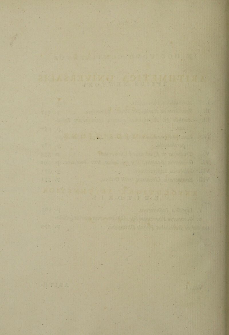% >. •v' | f • . . . . ■ • i K V. . . _• < 1 ' \ 1 » „ . . -A , t ' . m 1 - •* ■ 4 * ■ ■ ■ . ■' ' .