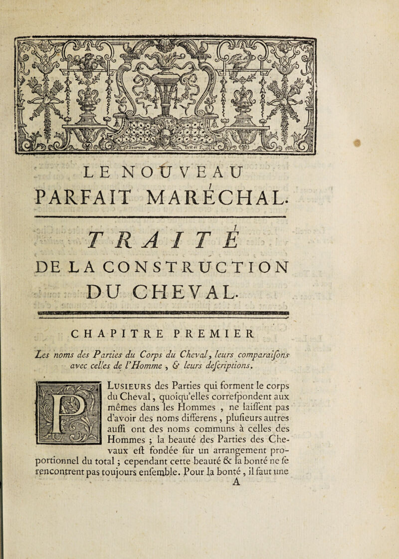 LE NOUVEAU PARFAIT MARÉCHAL. TRAITÉ DE LA CONSTRUCTION DU CHEVAL. ,* . 'y . • f • 0 •  .► # ^ V ■ * „ CHAPITRE PREMIER Z Ci noms des Parties du Corps du Cheval, leurs comparaisons avec celles de U Homme , & leurs defcriptiotis. Lusieurs des Parties qui forment le corps du Cheval, quoiqu'elles correfpondent aux mêmes dans les Hommes , ne laifîent pas d’avoir des noms differens , plufieurs autres aufli ont des noms communs à celles des Hommes ; la beauté des Parties des Che¬ vaux eft fondée fur un arrangement pro¬ portionnel du total ; cependant cette beauté & la bonté ne fe rencontrent pas toujours enfemble. Pour la bonté, il faut une A