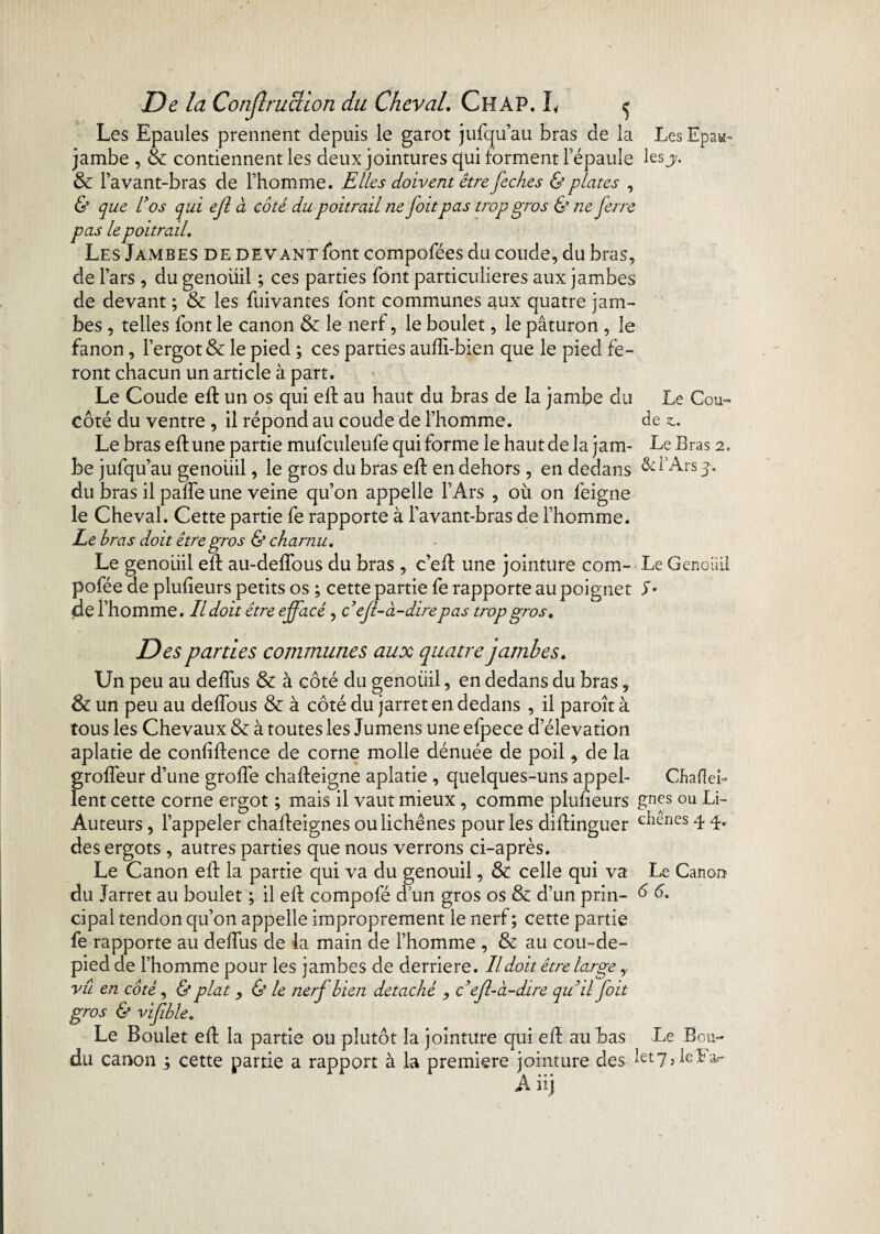 Les Epaules prennent depuis le garot jufqu’au bras de la Les Epau- jambe , & contiennent les deux jointures qui forment l’épaule les y. St l’avant-bras de l’homme. Elles doivent être feches & plates , & que l’os qui ejl à coté du poitrail ne foitpas trop gros & ne ferre de devant font compofées du coude, du bras, de l’ars , du genoüil ; ces parties font particulières aux jambes de devant ; St les fuivantes font communes aux quatre jam¬ bes , telles font le canon St le nerf, le boulet, le pâturon , le fanon, l’ergot & le pied ; ces parties auffi-bien que le pied fe¬ ront chacun un article à part. Le Coude eft un os qui eft au haut du bras de la jambe du Le Cou- côté du ventre , il répond au coude de l’homme. de z. Le bras eft une partie mufculeufe qui forme le haut de la jam- Le Bras 2. be jufqu’au genoüil, le gros du bras eft en dehors , en dedans & f Ars 3. du bras il pafte une veine qu’on appelle l’Ars , où on feigne le Cheval. Cette partie fe rapporte à l’avant-bras de l’homme. Le bras doit être gros & charnu. Le genoüil eft au-deftous du bras , c’eft une jointure com- Le Genoüil pofée de plufîeurs petits os ; cette partie fe rapporte au poignet S• de l’homme. Il doit être effacé, c ejl-à-dire pas trop gros. pas le poitrail, Les Jambe; Des parties communes aux quatre jambes. Un peu au deffus St à côté du genoüil, en dedans du bras, St un peu au deflous St à côté du jarret en dedans , il paroît à tous les Chevaux St à toutes les Jumens une efpece d’élévation aplatie de confiftence de corne molle dénuée de poil, de la grofleur d’une grofle chafteigne aplatie , quelques-uns appel- Chafîeb lent cette corne ergot ; mais il vaut mieux, comme plufteurs gnes ou Li- Auteurs, l’appeler chafteignes oulichênes pour les diftinguer Ghênes 4 4* des ergots , autres parties que nous verrons ci-après. Le Canon eft la partie qui va du genoüil, St celle qui va Le Canon du Jarret au boulet ; il eft compofé d'un gros os 8t d’un prin- é 6. cipal tendon qu’on appelle improprement le nerf ; cette partie fe rapporte au deffus de la main de l’homme , & au cou-de- pied de l’homme pour les jambes de derrière. Il doit être large,. vu en coté, & plat y & le nerf bien détaché , c ejl-à-dire qu’il fait gros & vijible. Le Boulet eft la partie ou plutôt la jointure qui eft au bas Le Bou- du canon , cette partie a rapport à la première jointure des let7,kiar A iij