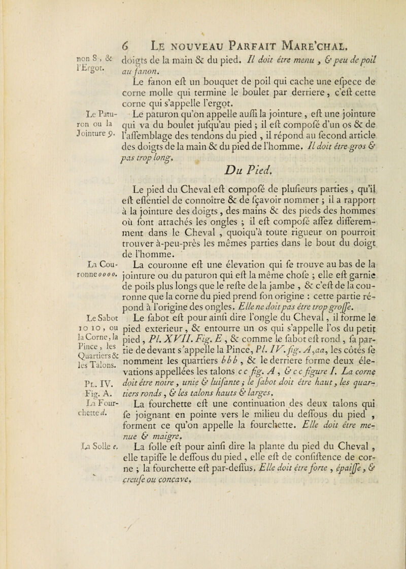 non 8 , & l’Ergot. Le Patu¬ ron ou la Jointure p. La Cou¬ ronne oo oo. Le Sabot JO io, ou la Corne, la Pince, les Quartiers & les Talons. Pl. IV. Fia. A. La Four- chette d. La Solle e. 6 Le nouveau Parfait Mare’chal. doigts de la main & du pied. IL doit être menu , & peu de poil au fanon. Le fanon eff un bouquet de poil qui cache une efpece de corne molle qui termine le boulet par derrière, ç’eff cette corne qui s’appelle l’ergot. Le paturon qu’on appelle auffi la jointure , efl une jointure qui va du boulet jufqu’au pied ; il efl compofé d’un os & de l’affembiage des tendons du pied , il répond au fécond article des doigts de la main & du pied de l’homme. Il doit être gros & pas trop long. Du Pied, Le pied du Cheval efl compofé de plufieurs parties , qu’il eft effentiel de connoître & de fçavoir nommer ; il a rapport à la jointure des doigts , des mains & des pieds des hommes où font attachés les ongles ; il eff compofé affez différem¬ ment dans le Cheval , quoiqu’à toute rigueur on pourroit trouver à-peu-près les mêmes parties dans le bout du doigt de l’homme. La couronne efl une élévation qui fe trouve au bas de la jointure ou du paturon qui efl la même chofe ; elle efl garnie de poils plus longs que le refie de la jambe , & c’eff de la cou¬ ronne que la corne du pied prend fon origine : cette partie ré¬ pond à l’origine des ongles. Elle ne doit pas être trop grojfe. Le fabot efl pour ainfî dire l’ongle du Cheval, il forme le pied extérieur, & entourre un os qui s’appelle l’os du petit pied , Pl. XVII. Fig. E , Sz comme le fabot efl rond , fa par¬ tie de devant s’appelle la Pince, Pl. IV.fig. A^aa, les côtés fe nomment les quartiers bbb , & le derrière forme deux élé¬ vations appellées les talons c c fig. A , & ce figure I. La corne doit être noire, unie & luifante ; le fabot doit être haut, les quar¬ tiers ronds , & les talons hauts & larges. La fourchette efl une continuation des deux talons qui fe joignant en pointe vers le milieu du deffous du pied , forment ce qu’on appelle la fourchette. Elle doit être me¬ nue & maigre. La folle efl pour ainfi dire la plante du pied du Cheval , elle rapide le deffous du pied , elle eff de confiftence de cor¬ ne ; la fourchette eff par-deffus. Elle doit être forte , épaijfe 9& çreufe ou concave,