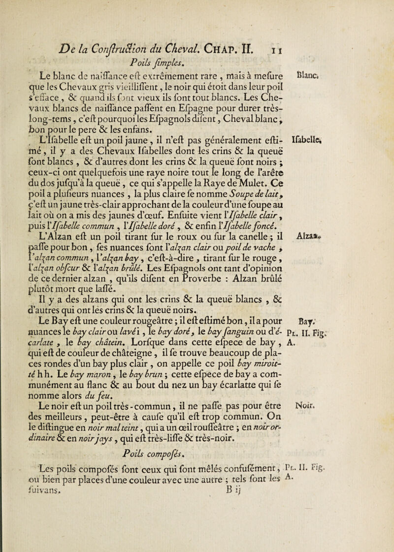 Blanc* Poils Jimples. Le blanc de naifTance eft extrêmement rare , mais à mefure que les Chevaux gris vieilliflent, le noir qui étoit dans leur poil s’enace , 8c quand ils font vieux ils font tout blancs. Les Che¬ vaux blancs de naifTance paffent en Efpagne pour durer très- long-tems, c’ed pourquoi les Efpagnols difent , Cheval blancf bon pour le pere & les enfans. L’Ifabelle ed un poil jaune , il n’ed pas généralement edi- mé, il y a des Chevaux Ifabelles dont les crins 8c la queue font blancs, & d’autres dont les crins 8c la queuë font noirs ; ceux-ci ont quelquefois une raye noire tout le long de larête du dos jufqu’à la queuë , ce qui s’appelle la Raye de Mulet. Ce poil a plufieurs nuances , la plus claire fe nomme Soupe de lait, ç’ed un jaune très-clair approchant de la couleur d’une foupe au lait où on a mis des jaunes d’œuf. Enfuite vient Xlfabelle clair, puis Xlfabelle commun , Xlfabelle doré , Se enfin Xlfabelle foncé. L’Alzan ed un poil tirant fur le roux ou fur la canelle ; il palfe pour bon , fes nuances font Xal^an clair ou poil de vache , Val^an commun , Yalqanbay, c’ed-à-aire , tirant fur le rouge , ïal^an obfcur 8c Xal^an brûlé. Les Efpagnols ont tant d’opinion de ce dernier alzan , qu’ils difent en Proverbe : Alzan brûlé plutôt mort que lade. Il y a des alzans qui ont les crins 8c la queuë blancs , 8c d’autres qui ont les crins 8c la queuë noirs. Le Bay ed une couleur rougeâtre ; il ed edimé bon, il a pour nuances le bay clair ou lavéi, le bay doré, le bay fanguin ou d'é¬ carlate , le bay chatein. Lorfque dans cette efpece de bay , qui ed de couleur de châteigne, il fe trouve beaucoup de pla¬ ces rondes d’un bay plus clair , on appelle ce poil bay miroit- té h h. Le bay maron, le bay brun ; cette efpece de bay a com¬ munément au flanc 8c au bout du nez un bay écarlatte qui Ce nomme alors du feu. Le noir ed un poil très-commun, il ne paffe pas pour être des meilleurs, peut-être à caufe qu’il ed trop commun. On le didingue en noir mal teint, qui a un œil roufleâtre ; en noir ot- dinaireSc exi noir jays , qui ed très-liffe 8c très-noir. Poils compofés, Les poils compofés font ceux qui font mêlés confufément, ou bien par places d’une couleur avec une autre ; tels font les Bij fuivans Ifabdic* Bay; Pl. II. Fig A. Noir. Pl. IL Fig, A.