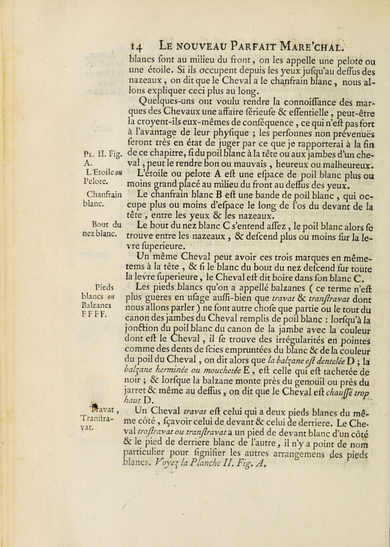 A. L’Etoile ou Pelote. Chanfrain blanc. Bout du nez blanc. Pieds blancs ou Balzanes F F FF. Hlavat, Tranftra- yat. 14 Le nouveau Parfait Mare’chal; blancs font au milieu du front, on les appelle une pelote ou une étoile. Si ils occupent depuis les yeux jufqu’au deffus des nazeaux, on dit que le Cheval a le chanfrain blanc , nous al¬ lons expliquer ceci plus au long. Quelques-uns ont voulu rendre la connoiffance des mar¬ ques des Chevaux une affaire férieufe & effentielle , peut-être la croyent-ils eux-mêmes de conféquence , ce qui n’eff pas fort à l’avantage de leur phyfique ; les perfonnes non prévenues feront très en état de juger par ce que je rapporterai à la fin val , peut le rendre bon ou mauvais , heureux ou malheureux» L’étoile ou pelote A eff une efpace de poil blanc plus ou moins grand placé au milieu du front au deffus des yeux. Le chanfrain blanc B eff une bande de poil blanc , qui oc¬ cupe plus ou moins d’efpace le long de l’os du devant de la tête, entre les yeux & les nazeaux. Le bout du nez blanc C s’entend affez , le poil blanc alors fe trouve entre les nazeaux , & defcend plus ou moins fur la le- vre fuperieure. Un même Cheval peut avoir ces trois marques en même» tems à la tête , & fi le blanc du bout du nez defcend fur toute la levre fuperieure, le Cheval eit dit boire dans fon blanc C. Les pieds blancs qu’on a appellé balzanes ( ce terme n’eff plus gueres en ufage aufîi-bien que tmvat & tranjlravat dont nous allons parler ) ne font autre chofe que partie ou le tout du canon des jambes du Cheval remplis de poil blanc : lorfqu’à la jonêfion du poil blanc du canon de la jambe avec la couleur dont eff le Cheval, il fe trouve des irrégularités en pointes comme des dents de fcies empruntées du blanc & de la couleur du poil du Cheval, on dit alors que la balzane ejl dentelée D ; la balzane herminée ou mouchetée E , eff celle qui eff tachetée de noir ; & lorfque la balzane monte près du genoüil ou près du jarret & même au deffus, on dit que le Cheval eff chauffé trop haut Y). Un Cheval travat eff celui qui a deux pieds blancs du mê¬ me côté , fçavoir celui de devant & celui de derrière. Le Che¬ val trajlravat ou tranjlravat a un pied de devant blanc d’un côté & le pied de derrière blanc de l’autre, il n’y a point de nom particulier pour lignifier les autres arrangemens des pieds blancs. Voye^ la Planche IL Fig. 4*