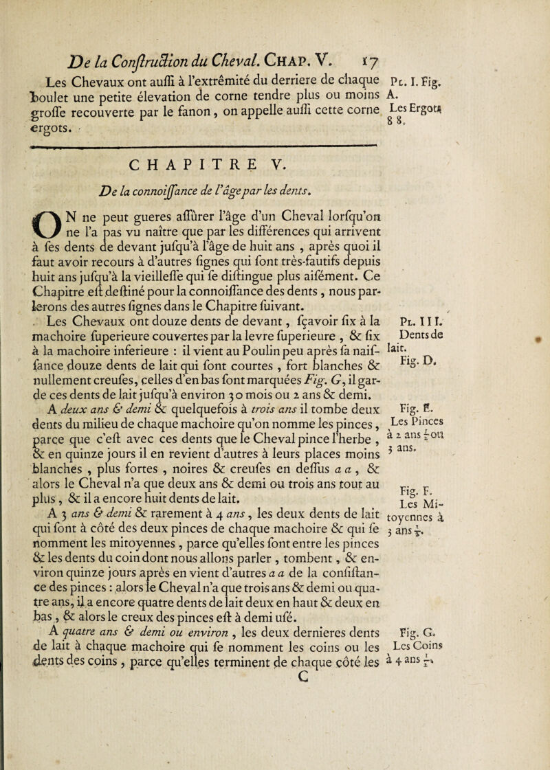 Les Chevaux ont aufïi à l’extrémité du derrière de chaque Loulet une petite élévation de corne tendre plus ou moins grofle recouverte par le fanon , on appelle aufïi cette corne ergots. - —■ IBM» « ■ I—————— !■-■■■ !■ IM ■ 1,1 1 ’ CHAPITRE Y. De la cormoiJJ'ance de F âgepar les dents. ON ne peut gueres afîurer l’âge d’un Cheval lorfqu’on ne l’a pas vu naître que par les différences qui arrivent à fes dents de devant jufqu’à l’âge de huit ans , après quoi il faut avoir recours à d’autres lignes qui font très-fautifs depuis huit ans jufqu’à la vieilleffe qui fe diftingue plus aifément. Ce Chapitre elf deftiné pour la connoiffance des dents , nous par¬ lerons des autres lignes dans le Chapitre fuivant. Les Chevaux ont douze dents de devant, fçavoir lix à la mâchoire iuperieure couvertes par la levre fuperieure , & lix à la mâchoire inferieure : il vient au Poulin peu après fa naif- fance douze dents de lait qui font courtes , fort blanches & nullement creufes, celles d’en bas font marquées Fig. G, il gar¬ de ces dents de lait jufqu’à environ 30 mois ou 2 ans & demi. K deux ans & demi & quelquefois à trois ans il tombe deux dents du milieu de chaque mâchoire qu’on nomme les pinces, parce que c’elf avec ces dents que le Cheval pince l’herbe , & en quinze jours il en revient d’autres à leurs places moins blanches , plus fortes , noires & creufes en défais a a , & alors le Cheval n’a que deux ans & demi ou trois ans tout au plus , & il a encore huit dents de lait. A 3 ans & demi & rarement à 4 ans, les deux dents de lait qui font à côté des deux pinces de chaque mâchoire & qui fe nomment les mitoyennes, parce qu’elles font entre les pinces & les dents du coin dont nous allons parler , tombent, & en¬ viron quinze jours après en vient d’autres a a de la confian¬ ce des pinces : alors le Cheval n’a que trois ans & demi ou qua¬ tre ans, il a encore quatre dents de lait deux en haut & deux en bas , & alors le creux des pinces elf à demi ufé. A quatre ans & demi ou environ , les deux dernieres dents de lait à chaque mâchoire qui fe nomment les coins ou les dents des coins, parce quelles terminent de chaque côté les C Pl. ï. Fig. A. Les Ergot* 8 8. Pl. 11 T. Dents de lait. Fig. D, Fig. 0. Les Pinces à 2 ans fou 3 ans. Fig. F. Les Mi¬ toyennes à 3 ans f. Fig. G. Les Coins à 4 ans