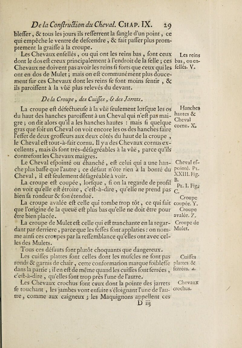 bleffer, & tous les jours ils refferrent la fangle d’un point, ce qui empêche le ventre de defcendre , & fait palier plus prom¬ ptement la graiffe à la croupe. Les Chevaux enfellés, ou qui ont les reins bas , font ceux dont le dos efl creux principalement à l’endroit de la Telle ; ces Chevaux ne doivent pas avoir les reins fi forts que ceux qui les ont en dos de Mulet ; mais on eft communément plus douce¬ ment fur ces Chevaux dont les reins fe font moins fentir , 8c ils paroiffent à la vûë plus relevés du devant. De la Croupe , des Cuiffes, & des Jarrets. La croupe eft défeétueufe à la vûë feulement lorfque les os du haut des hanches paroiffent à un Cheval qui n’eft pas mai¬ gre ; on dit alors qu’il a les hanches hautes : mais fi quelque gras que foit un Cheval on voit encore les os des hanches faire l’effet de deux groffeurs aux deux côtés du haut de la croupe , le Chèval eft tout-à-fait cornu. Il y a des Chevaux cornus ex¬ cellents , mais ils font très-défagréables à la vûë , parce qu’ils contrefont les Chevaux maigres. Le Cheval efpointé ou ëhanché , eft celui qui a une han¬ che plus baffe que l’autre ; ce défaut n'ôte rien à la bonté du Cheval, il efl feulement défagréable à voir. La croupe efl coupée , lorfque , fi on la regarde de profil on voit quelle efl étroite , c’efl-à-clire , qu’elle ne prend pas bien fa rondeur & fon étenduë. La croupe avalée efl celle qui tombe trop tôt, ce qui fait que l’origine de la queuë efl plus bas qu’elle ne doit être pour être bien placée. La croupe de Mulet efl celle qui eft tranchante en la regar¬ dant par derrière, parce que les feffes font applaties : on nom¬ me ainfi ces croupes par la reffemblance qu’elles ont avec cel¬ les des Mulets. Tous ces défauts font plutôt choquants que dangereux. Les cuiffes plâtres font celles dont les mufcles ne font pas ronds & garnis de chair , cette conformation marque foibleffe dans la partie ; il en efl de même quand les cuiffes font ferrées , c’eft-à-dire , qu’elles font trop près Fune de l’autre. Les Chevaux crochus font ceux dont la pointe des jarrets fe touchant , les jambes vont enfuite s’éloignant fune de l’au¬ tre ? comme aux caigneux j les Maquignons appellent ces D iij Les reins bas j ou en¬ fellés. V. Hanches hantes ck: Cheval cornu. X» Cheval ef¬ pointé. Pt, XXULFig. B. Pi. I. Figü C. Croupe coupée. Y. Croupe avalée. Croupe de Mulet. Cuiffes plattes ôc ferrées, a. Chevaux crochus.