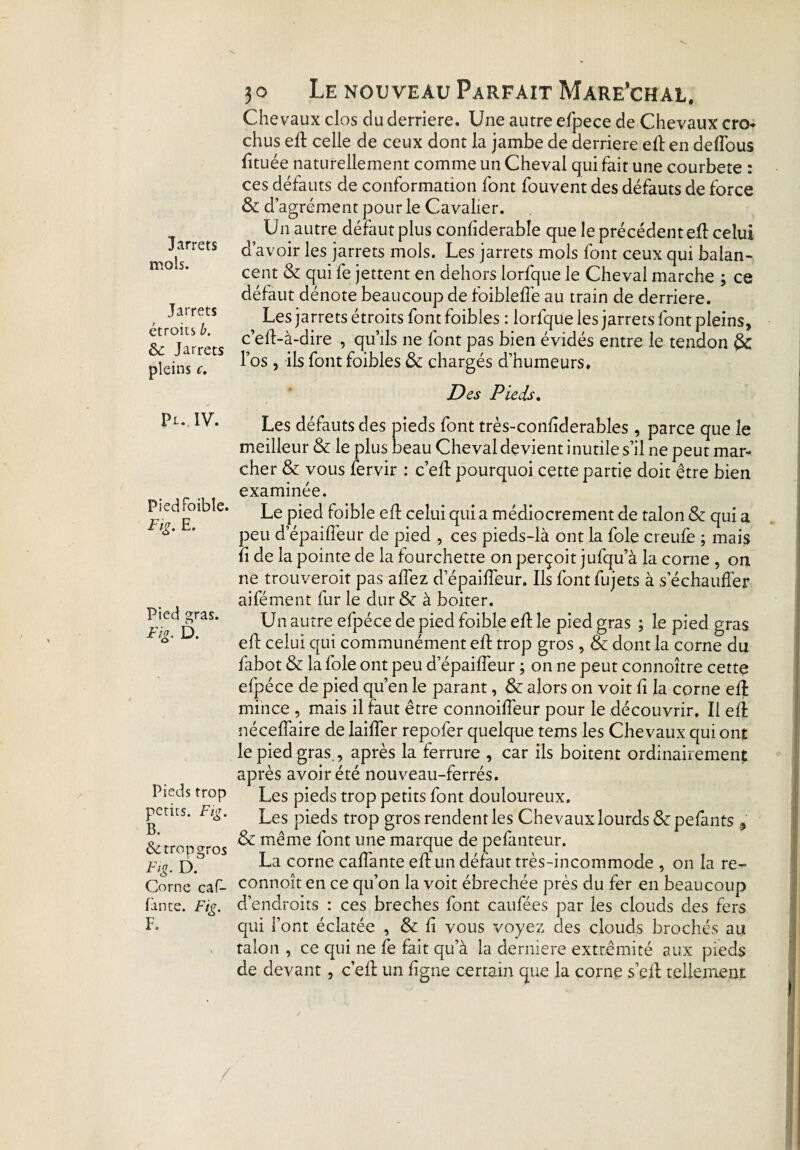 Jarrets mois. Jarrets étroits b. 8c Jarrets pleins c. Pt. IV. Piedfoible. Fig. E. Pied gras. Fig. D. Pieds trop petits. Ftg. B. & trop gros Fig. D. Corne car¬ iante. Fig. F. 3 o Le nouveau Parfait Mare’ch al. Chevaux clos du derrière. Une autre efpece de Chevaux cro- chus eft celle de ceux dont la jambe de derrière eft en deffous fituée naturellement comme un Cheval qui fait une courbete : ces défauts de conformation font fouvent des défauts de force & d’agrément pour le Cavalier. Un autre défaut plus confiderable que le précédent eft celui d’avoir les jarrets mois. Les jarrets mois font ceux qui balan¬ cent & qui fe jettent en dehors lorfque le Cheval marche ; ce défaut dénote beaucoup de foibleffe au train de derrière. Les jarrets étroits font foibles : lorfque les jarrets font pleins, c’eft-à-dire , qu’ils ne font pas bien évidés entre le tendon l’os , ils font foibles & chargés d’humeurs. Des Pieds. Les défauts des pieds font très-confiderables, parce que le meilleur & le plus beau Cheval devient inutile s’il ne peut mar¬ cher & vous fervir : c’eft pourquoi cette partie doit être bien examinée. Le pied foible eft celui qui a médiocrement de talon & qui a peu d’épaifteur de pied , ces pieds-là ont la foie creufe ; mais fi de la pointe de la fourchette on perçoit jufqu’à la corne , on ne trouveroit pas affez d’épaifteur. Ils font fujets à s’échauffer aifément fur le dur & à boiter. Un autre efpéce de pied foible eft le pied gras ; le pied gras eft celui qui communément eft trop gros, 8c dont la corne du fabot 8c la foie ont peu d’épaiffeur ; on ne peut connoître cette efpéce de pied qu’en le parant, & alors on voit fi la corne eft mince , mais il faut être connoiffeur pour le découvrir. Il eft néceffaire de laiffer repofer quelque tems les Chevaux qui ont le pied gras., après la ferrure , car ils boitent ordinairement après avoir été nouveau-ferrés. Les pieds trop petits font douloureux. Les pieds trop gros rendent les Chevaux lourds & pelants , 8c même font une marque de pefanteur. La corne caffante eft un défaut très-incommode , on la re- connoît en ce qu’on la voit ébrechée près du fer en beaucoup d’endroits : ces breches font caufées par les clouds des fers qui l’ont éclatée , 8c fi vous voyez des clouds brochés au talon , ce qui ne fe fait qu’à la derniere extrémité aux pieds de devant, c’eft un ligne certain que la corne s’eft tellement