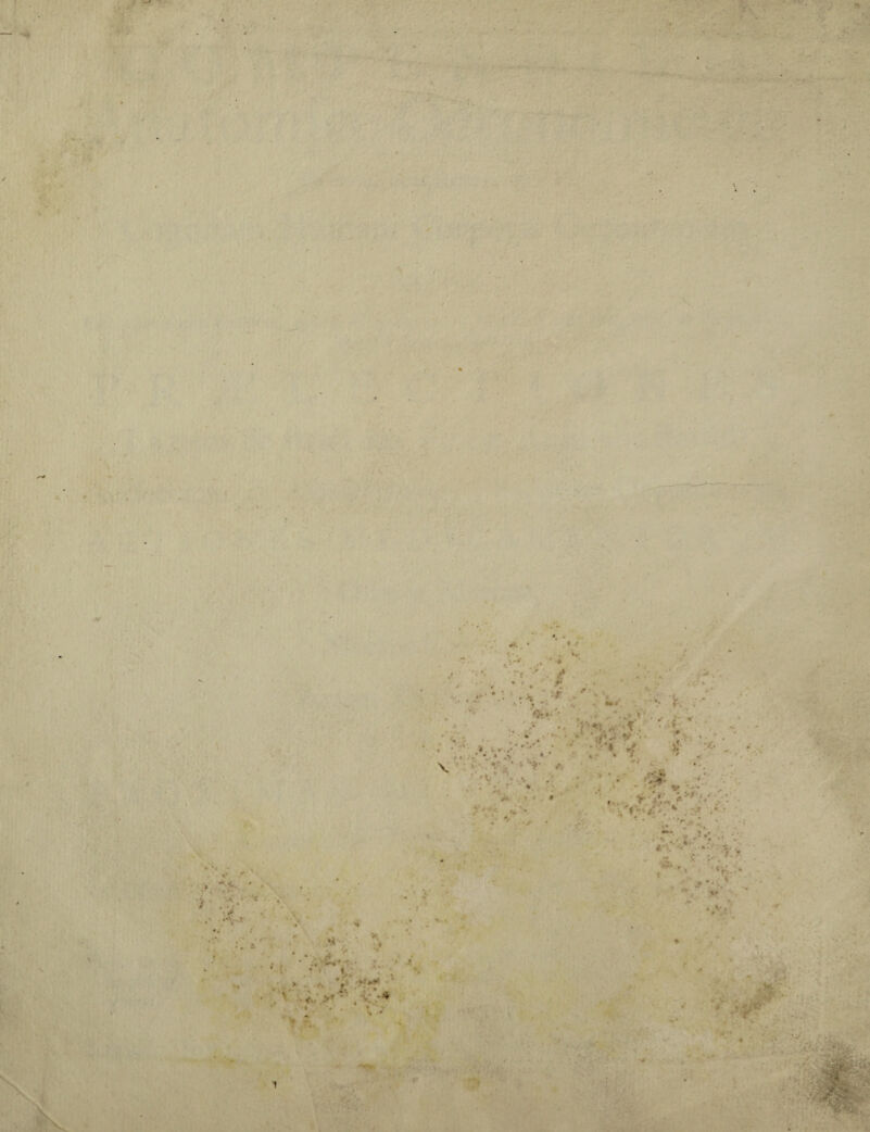 V . - V ✓ \ ' «* ' 1 #»3'« <H»'