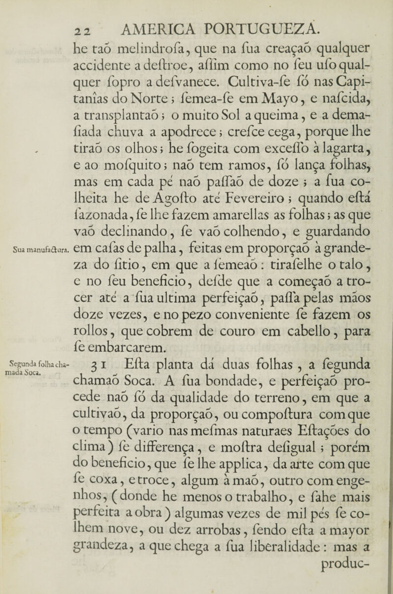 he taó melindrofa, que na fua creaçaó qualquer accidente a deftroe, aííim como no Teu ufo qual¬ quer fopro a defvanece. Cultiva-íè íò nas Capi¬ tanias do Norte > iemea-íe em Mayo, e naícida, a transplantaõ; o muito Sol a queima, e a dema- íiada chuva a apodrece; crefce cega, porque lhe tirão os olhos; he íbgeita com exceflb à lagarta, e ao moíquito; naó tem ramos, lo lança folhas, mas em cada pé naó paífaó de doze ; a fua co¬ lheita he de Agofto até Fevereiro ; quando efta fazonada, íe lhe fazem amarellas as folhas; as que vao declinando, fe vaó colhendo, e guardando sua manufatura, em cafas de palha, feitas em proporção à grande¬ za do íitio, em que a lèmeaó: tirafelhe o talo, e no feu beneficio, deíde que a começaò a tro- cer até a fua ultima perfeição, pafla pelas mãos doze vezes, e no pezo conveniente fe fazem os rollos, que cobrem de couro em cabello, para fe embarcarem. Segunda folha cha- z i Efta planta dá duas folhas, a fecunda madaSoca. 1^0 1 i r I JJ r ■ ° chamao Soca. A fua bondade, e perfeição pro¬ cede naó fó da qualidade do terreno, em que a cultivaõ, da proporção, ou compoftura com que o tempo (vario nas mefmas naturaes Eftaçoes do clima ) fe differença, e moftra deíigual; porém do beneficio, que felhe applica, da arte com que fe coxa, e troce, algum à maó, outro com enge¬ nhos , ( donde he menos o trabalho, e fahe mais perfeita a obra ) algumas vezes de mil pés íeco- hem nove, ou dez arrobas, lendo efta amayor grandeza, a que chega a fua liberalidade: mas a produc-