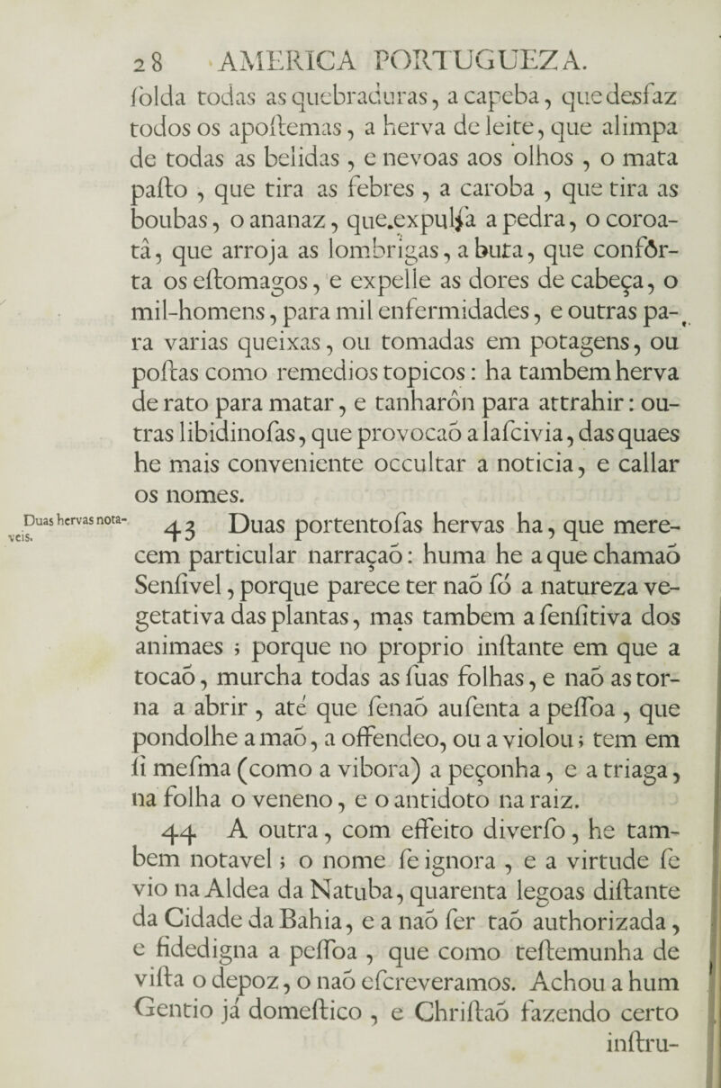 Duas hervas notá¬ veis. 28 AMERICA PORTUGUEZA. folda todas as quebraduras, acapeba, que desfaz todos os apoítemas, a herva de leite, que alimpa de todas as belidas , e névoas aos olhos , o mata pafto , que tira as febres , a caroba , que tira as boubas, oananaz, que.expulfa apedra, ocoroa- tâ, que arroja as lombrigas, abuta, que coníôr- ta os eífomagos, e expelie as dores de cabeça, o mil-homens, para mil enfermidades, e outras pa-1 ra varias queixas, ou tomadas em potagens, ou poílas como remedios topicos: ha também herva de rato para matar, e tanharôn para attrahir: ou¬ tras libidinofas, que provocao alafcivia, das quaes he mais conveniente occultar a noticia, e callar os nomes. 4 3 Duas portentofas hervas ha, que mere¬ cem particular narraçaõ: huma he aquechamaò Seníivel, porque parece ter naó fó a natureza ve- getativa das plantas, mas também a feníitiva dos animaes ; porque no proprio inftante em que a tocaó, murcha todas as luas folhas, e naó as tor¬ na a abrir , até que fenaó aufenta a peífoa , que pondolhe a mao, a offendeo, ou a violou; tem em li mefma (como a vibora) a peçonha, e a triaga, na folha o veneno, e o antídoto na raiz. 44 A outra, com effeito diverfo, he tam¬ bém notável; o nome íe ignora , e a virtude íè vio na Aldea da Natuba, quarenta legoas diftante da Cidade da Bahia, e a naó fer tao authorizada, e fidedigna a pelTòa , que como tellemunha de vifta o depoz, o naó efereveramos. Achou a hum Gentio já domeftico , e Chriílaó fazendo certo inftru-