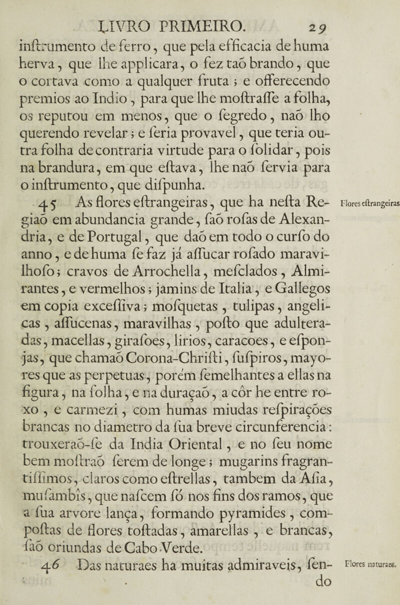 inílmmento de ferro, que pela eíficacia dehuma herva, que lhe appliçara, o fez tao brando, que o cortava como a qualquer fruta > e offerecendo prêmios ao índio, para que lhe moftrafle a folha, os reputou em menos, que o fegredo, naó lho querendo revelar; e feria provável, que teria ou¬ tra folha de contraria virtude para o lòlidar, pois na brandura, em que eílava, lhe naó íervia para o inftrumento, que difpunha. 45 As flores eftrangeiras, que ha nefta Re¬ gião em abundancia grande, faó rofas de Alexan¬ dria , e de Portugal, que daõ em todo o curfo do anno, edehuma fefaz já aflucar rofado maravi- lhofo; cravos de Arrochei la, mefclados, Almi¬ rantes , e vermelhos; jamins de Italia, e Gallegos em copia excefíiva; mofquetas , tulipas, angéli¬ cas , aflucenas, maravilhas , poíto que adultera¬ das, macellas, girafoes, lirios, caracoes, e efpon- jas, que chamaó Corona-Chrifti, fufpiros, mayo- res que as perpetuas, porem femelhantes a ellas na figura, na folha, e na duraçaõ, a côr he entre ro¬ xo , e carmezi, com humas miúdas refpiraçóes brancas no diâmetro da fua breve circunferência: trouxerao-íè da índia Oriental, e no íeu nome bem moftraó ferem de longe; mugarins fragran- tifilmos, claros como eílrellas, também da Afia, mu fambís, que nafcem fó nos fins dos ramos, que a fua arvore lança, formando pyramides , com- poftas de flores toíladas, amarei las , e brancas, fiiõ oriundas de Cabo Verde. 46 Das naturaes ha muitas admiráveis, íen- do