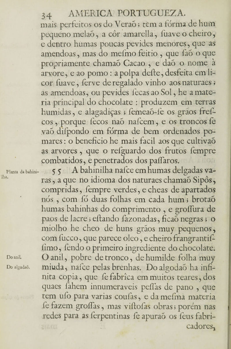 Planta da bahini- Iha. Do anil. Do algodaõ. 34 AMERICA PORTUGUEZA. mais perfeitos os do Veraõ; tem a forma de hum pequeno melaó, a côr amarei la, fuave o cheiro, e dentro humas poucas pevides menores, que as amêndoas, mas do meíhio feitio , que faõ o que propriamente chamao Cacao , e dao o nome à arvore, e ao pomo : a polpa deite, desfeita em li¬ cor fuave, íerve de regalado vinho aos naturaes; as amêndoas, ou pevides íecas ao Sol, he a maté¬ ria principal do chocolate : produzem em terras húmidas, e alagadiças ; femeaò-íè os grãos fref- cos, porque fecos naó naícem, e os troncos íe va5 diípondo em fórma de bem ordenados po¬ mares : o beneficio he mais facil aos que cultivaò as arvores, que o refguardo dos frutos fempre combatidos, e penetrados dos paíFaros. 55 A bahinilha nafce em humas delgadas va¬ ras, a que no idioma dos naturaes chamaõ Sipôs, compridas, fempre verdes, e cheas de apartados nós , com ío duas folhas em cada hum; brotaó humas bahinhas do comprimento , e groífura de paos de lacre; eítando fazonadas, ficaõ negras ; o miolho he cheo de huns grãos muy pequenos, com fucco, que parece oleo, e cheiro frangrantif- íimo, fendo o primeiro ingrediente do chocolate. O anil, pobre de tronco, de humilde folha muy miuda, nafce pelas brenhas. Doalgodaó ha infi¬ nita copia, que fefabrica em muitos teares, dos quaes fahem innumeraveis pefiãs de pano , que tem ufo para varias coufas, e damefma matéria íe fazem groíTas, mas viítofas obras; porem nas redes para as íerpentinas fe apurao os íeus fabri- i cadores.