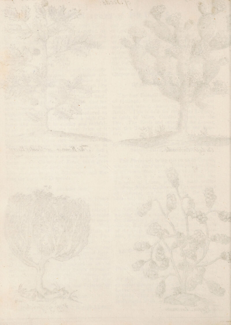 r,e '' • . : '■ K % -. . ■ . ... / i ’'*■ - : • ■«. *• i _ : ■■ n- V /