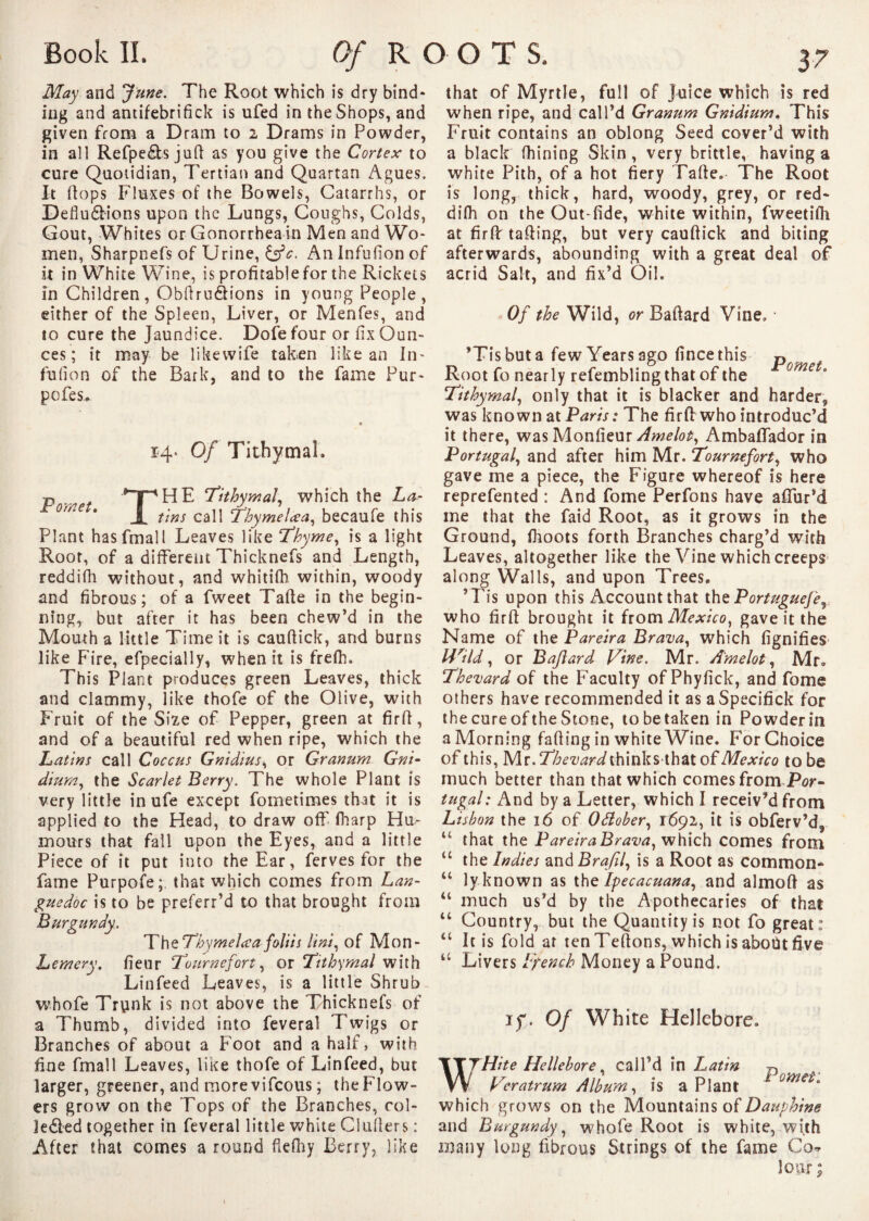 May and June. The Root which is dry bind* ing and antifebrifick is ufed in the Shops, and given from a Dram to 2 Drams in Powder, in all Refpedts juft as you give the Cortex to cure Quotidian, Tertian and Quartan Agues. It flops Fluxes of the Bowels, Catarrhs, or Defludlions upon the Lungs, Coughs, Colds, Gout, Whites or Gonorrhea in Men and Wo* men, Sharpnefs of Urine, &c. An Infufion of it in White Wine, is profitable for the Rickets in Children, Obftru&ions in young People, either of the Spleen, Liver, or Menfes, and to cure the Jaundice. Dole four or fix Oun¬ ces ; it may be likewife taken like an In* fufion of the Bark, and to the fame Pur- pofes. 14. Of Tithymal, P - >TpHE Tithymal, which the La- JL tins call T'hymelœa, becaufe this Plant hasfmall Leaves like Thyme, is a light Root, of a different Thicknefs and Length, reddifh without, and whitifh within, woody and fibrous; of a fweet Tafte in the begin¬ ning, but after it has been chew’d in the Mouth a little Time it is cauftick, and burns like Fire, efpecially, when it is frelh. This Plant produces green Leaves, thick and clammy, like thofe of the Olive, with Fruit of the Size of Pepper, green at firfi, and of a beautiful red when ripe, which the Latins call Coccus Gnidius, or Granum Gni- dium, the Scarlet Berry. The whole Plant is very little in ufe except fometimes that it is applied to the Head, to draw off fharp Hu¬ mours that fall upon the Eyes, and a little Piece of it put into the Ear, ferves for the fame Purpofe; that which comes from Lan¬ guedoc is to be preferr’d to that brought from Burgundy. TheThymelaafoliis Uni, of Mon- Lemery. fieur Tourne fort, or Tithymal with Linfeed Leaves, is a little Shrub whofe Trunk is not above the Thicknefs of a Thumb, divided into feveral Twigs or Branches of about a Foot and a half, with fine fmall Leaves, like thofe of Linfeed, but larger, greener, and more vifeous ; the Flow¬ ers grow on the Tops of the Branches, rol- ledled together in feveral little white Clufters : After that comes a round fkfhy Berry, like that of Myrtle, full of juice which is red when ripe, and call’d Granum Gnidium. This Fruit contains an oblong Seed cover’d with a black fhining Skin, very brittle, having a white Pith, of a hot fiery Tafte. The Root is long, thick, hard, woody, grey, or red¬ difh on the Out-fide, white within, fweetifli at firfi: tailing, but very cauftick and biting afterwards, abounding with a great deal of acrid Salt, and fix’d Oil. Of the Wild, or Baftard Vine, • ’Tisbuta fewYearsago fincethis p Root fo nearly refembling that of the Tithymal, only that it is blacker and harder, was known at Paris: The firfi: who introduc’d it there, was Monfieur Amelot, Ambaffador in Portugal, and after him Mr. Tournefort, who gave me a piece, the Figure whereof is here reprefented : And fome Perfons have affur’d me that the faid Root, as it grows in the Ground, fhoots forth Branches charg’d with Leaves, altogether like the Vine which creeps along Walls, and upon Trees. ’ Tis upon this Account that thePortuguefe, who firfi brought it from Mexico, gave it the Name of the Pareira Brava, which fignifieS' HUld, or Baflard Vine. Mr. Amelot, Mr» Thevard of the Faculty of Phyfick, and fome others have recommended it as aSpecifick for the cure of the Stone, to be taken in Powder in a Morning falling in white Wine. For Choice of this, Mr.T^mWthinksthatof Mexico to be much better than that which comes from Por¬ tugal: And by a Letter, which I receiv’d from Lisbon the 16 of Odober, 1692, it is obferv’d, u that the Pareira Brava, which comes from tc the Indies and Brafil, is a Root as common* “ ly known as the Ipecacuana, and almoft as u much us’d by the Apothecaries of that “ Country, but the Quantity is not fo great: “ It is fold at ten Teftons, which is about five 44 Livers French Money a Pound. if. Of White Hellebore. WHite Hellebore call’d in Latin n Vc-ratrum Album, is a Plant Pme*' which grows on the Mountains of Dauphine and Burgundy, whofe Root is white, with many long fibrous Strings of the fame Co* lour;