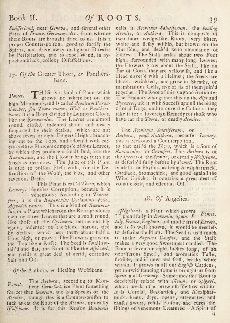 Swijjerland, near Geneva, and feveral other Parts of France, Germany, &c. from whence thefe Roots are brought dried to us. It is a proper Counter-poifon, good to fortify the Spirits, and drive away malignant Difeafes by Perfpiration, and to expel Wind, in hy- pochondriack, colicky Difaffe&ions. 17. Of the Greater Thora, or Panthers- Bane. p ^ ^TpHIS is a kind of Plant which i omet. A grows no where but on the high Mountains,and is called Aconitum Pardo- Hanches, feu Thor a major, Wolf or Panthers- bane ; it is a Root divided by Lumps or Clods, like the Ravunculus. The Leaves are almoft round, clofed, indented about, and neatly fapported by their Stalks, which are not above feven or eight Fingers Height, branch¬ ing out to the Tops, and adorn’d with cer¬ tain yellow Flowers compos’d of four Leaves, by which they produce a fmall Bud, like the Ranunculus, and the Flower brings forth flat Seeds as that does. The Juice of this Plant is ufed to poifon Flefh with, for the De- ftru&ion of the Wolf, the Fox, and other ravenous Beads. This Plant is call’d Thor a, which Lemery. fignifies Corruption, becaufe it is venemous : According to Tourne - fort, it is the Ranunculus Cyclaminis Folio, Afphodeli radice. This is a kind of Ranuncu¬ lus, ox a Plant which from the Root produces two or three Leaves that are almolt round, like thofe of the Cyclamen, but near as big again, indented on the Sides, fibrous, tied by Stalks, which bear them about half a Foot high, or more: The Flowers grow on the Top 1 ike a Rofe: The Seed is fwallow- tail’d and flat, the Root is like the Afphodel, and yields a great deal of acrid, corrofive Salt and Oil. Of the Anthora, or Healing Wolfsbane. p ^ , The Anthora, according to Mon- I omet. fjeur ‘jfurnefort, j$a Plant fomething fcarcer than Gentian, and is a Species of the Aconite, though this is a Counter-poifon to fuch as eat the Root of the Aconite, or deadly Wolfsbane. It is for this Reafon Bauhinus 39 calls it Aconitum Salutiferum, the healing Aconite, or Anthora This is compos ’d of two fhort wedge-like Roots, very bitter, white and flefhy within, but brown on the Out-fide, and deck’d with abundance of Fibres. The Stalk arifes about two Foot high, furrounded with many long Leaves; the Flowers grow about the Stalk, like an Ear of Corn, they are yellowifh, and like a Head cover’d with a Helmet; the Seeds are black, wrinkled, and grow in Sheaths, or membranous Cells, five or lix of themjoin’d together. The Root of this is a good Antidote : The Peafants who gather this on thzAlps and Pyrenees, ufe it withSuccefs againft the biting of mad Logs, and to cure the Colick; they take it for a lovereign Remedy for thofe who have eat the Thora, or deadly Aconite. The Aconitum Salutiferum, or Anthora, quajt Antithora 7 becaufe Lemery. this is reckoned a Counterpoifon , to that call’d the Thora, which is a Sort of Ranunculus, or Crowfoot. This Anthora is of KheSpecies of the Aconite, or dreadly Wolfsbane, as defcrib’d fully before by Pomet. The Root is ufeful in Phyfick, as being A lexipharmack, Cardiack, Stomachick, and good againfi the Wind Colick: It contains a great deal of volatile Salt, and effential Oil. 18. Of Angelica. ANgelica is a Plant which grows p plentifully in Bohemia, Spain, I- omei> taly, France, England, and molt Parts of Europe^ and is fo well known, it would be needlefs to defcribe the Plant. The Seed is us’d much to make Angelica Comfits, and the Stalk makes a very good Sweetmeat candied. The Root is feven or eight Inches long, of an odoriferous Smell, and aromatick Tafle, flexible, and if new and frefh, breaks white within. It grows in all ourEnglijh Gardens, yet notvvithftanding fome is brought us from Spain and Germany. Sometimes this Root is deceitfully mixed with Meum, or Spignely which break of a brownifh Yellow within. It is Cordial, Bezoartick, and Alexiphar- mick, heats, drys, opens, attenuates, and caufes Sweat, refills Poifon, and cures the Bitings of venemous Creatures. A Spirit of is