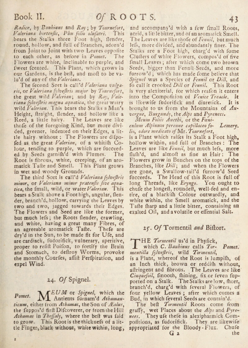 Book IL Of K O O T S. R a dice, by Bauln mi s and Ray ; by Tournefort, Valeriana h or t erf is, Phu folio olufatri. This bears the Stalks three Foot high, flender, round, hollow, and full of Branches, adorn’d from Joint to Joint with two Leaves oppofite to each other, as before in Pomet. The Flowers are white, inclinable to purple, and fweet fcented. This Plant, which grows in our Gardens, is the bell, and mod to be va¬ lu’d of any of thQ Valerians. The fécond Sort is call’d Valeriana vulga¬ ris, or Valeriana fylveflris major by Tourne fort, the great wild Valerian', and by Ray, Vale¬ riana fylveflris magna aquatica, the great watry wild Valerian. T his bears the Stalks a Man’s Height, ftraight, flender, and hollow like a Reed, a little hairy. The Leaves are like thofe of the foregoing Kind, but more divi¬ ded, greener, indented on their Edges, a lit¬ tle hairy without : The Flowers are difpo- fed as the great Valerian, of a whitifh Co¬ lour, tending to purple, which are fucceed- ed by Seeds garnifh’d with Plumes. The Root is fibrous, white, creeping, of an aro- matick Tafte and Smell. This Plant grows in wet and woody Grounds. The third Sort is call’d Valeriana fylveflris minor, or Valeriana minor pratenfis five aqua- tica, the final 1, wild, or water Valerian. This bears a Stalk above a Foot high, angular, (len¬ der, branch’d, hollow, carrying the Leaves by two and two, jagged towards their Edges. The Flowers and Seed are like the former, but much lefs ; the Roots flender, crawling, and white, having a great many Fibres, of an agreeable aromatick Tade. Thefe are dry’d in the Sun, to be made fit for Ufe, and are cardiack, fudorifick, vulnerary, aperitive, proper to refid Poifon, to fortify the Brain and Stomach, to dedroy Worms, provoke the monthly Courfes, affid Perfpiration, and expel Wind. 24. Of Spignel. d * \ÆEUM or which the 1VJL Antients fur nam’d Athaman- ticum, either from Athamas, the Son of Æolus, the fuppos’d fird Difcoverer, or fromtheHill Athamas in Thefialy, where the bed was faid to grow. This Root is the thicknefs of a lit¬ tle Finger, black without, white within, long, and accompany’d with a few Email Roots, acrid, a 1 i t r 1 e bitter,and of an aromatick Smell. The Leaves are like thofe of Fennil, but much lefs, more divided, and abundantly finer. The Stalks are a Foot high, charg’d with fome Cluders of white Flowers, compos’d of five fmall Leaves; after which come two brown Seeds, bigger than Fennil-Seeds, and more furrow’d ; which has made fome believe that Spignel was a Species of Fennil or Dill, and fo call it crooked Dill or Fennil. This Root is very alexiterial, for which reafon it enters into the Compofition of Venice Treacle, k is likewife fudorifick and diuretick. It is brought to us from the Mountains of /hi' vergne, Burgundy, the Alps and Pyrenees. Me urn Folds Anethi, or the Fœni- culum Alpinum perenne capillaceo fo- LemeryB lio, odore medicato of Mr. Tournefort, is a Plant which raifes its Stalk a Foot high, hollow within, and full of Branches : The Leaves are Wkz Fennil, but much lefs, more dafh’d, and almod as fine as Hair: The Flowers grow in Bunches on the tops of the Branches, like DUP, and when the Flowers are gone, a Swallow-tail’d furrow’d Seed fucceeds. The Head of this Root is full of long Threads, like Eryngo. You ought to chufe the longeft, roundel}, well-fed and en¬ tire, of a blackifh Colour outwardly, and white within, the Smell aromatick, and the Tafte fharp and a little bitter, containing an exalted Oil, and a volatile oreffential Salu 2f. Of Tormentil and Biftort* HE Tormentil us’d in Phyfick, which C. Bauhinus calls Tor- Pomet* mentilla fylveflris, wild Tormentil, is a Plant, whereof the Root is lumpift), of an Inch thick, brown or reddifh without, aflringent and fibrous. The Leaves are like Cinquefoil, fmooth, fhining, fix or (even fup~ ported on a Stalk. TheStalks arelow, fliorf, branch’d, charg’d with feveral Flowers, of four yellow Leaves ; after which comes a Bud, in which feveral Seeds are contain’d. The bed Tormentil Roots come from gra(Ty, wet Places about the Alps and Pyre¬ nees. They ufe thefe in alexipharmick Com* pofitions, as fudorifick. They are likewife appropriated for the Bloody-Flux. Chufe G 2 the
