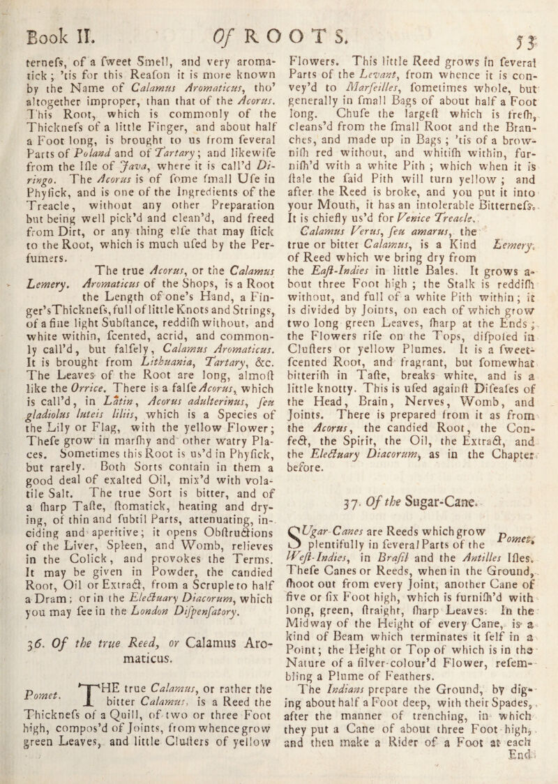 ternefs, of a fweet Smell, and very aroma- tick ; ’tis for this Reafon it is more known by the Name of Calamus Aromaticus, tho’ altogether improper, than that of the Acorns. This Root, which is commonly of the Thicknefs of a little Finger, and about half a Foot long, is brought to us from feveral Parts of Poland and of ‘Tart-ary ; and likewife from the I fie of Java, where it is call’d DP ringo. The Acorns is of fome final 1 Ufe in Phyfick, and is one of the Ingredients of the Treacle, without any other Preparation but being well pick’d and clean’d, and freed from Dirt, or any thing elfe that may ftick to the Root, which is much ufed by the Per¬ fumers. The true Acorns, or the Calamus Lemery. Aromaticus of the Shops, is a Root the Length of one’s Hand, a Fin- ger’sThicknefs,full of little Knots and Strings, of a fine light Subttance, reddifh without, and white within, fcented, acrid, and common¬ ly call’d, but falfely, Calamus Aromaticus. It is brought from Lithuania, Tartary, &c. The Leaves- of the Root are long, almofl like the Orrice. There is a fal It Acorns, which is call’d, in Latin, Acorns adnlterinns, fen gladiolus luteis liliis, which is a Species of the Lily or Flag, with the yellow Flower; Thefe grow in marfhy and other watry Pla¬ ces. Sometimes this Root is us’d in Phyfick, but rarely. Both Sorts contain in them a good deal of exalted Oil, mix’d with vola¬ tile Salt. The true Sort is bitter, and of a fharp Tatte, flomatick, heating and dry¬ ing, of thin and fubtil Parts, attenuating, in-, eiding and aperitive; it opens Obttrudions of the Liver, Spleen, and Womb, relieves in the Colick, and provokes the Terms. It may be given in Powder, the candied Root, Oil orExtrad, from a Scruple to half a Dram ; or in the Electuary Diacnrum, which you may fee in the London Dijpenfatory. 3 6. Of the true Reed, or Calamus Aro¬ maticus. p , *~pHE true Calamus, or rather the X bitter Calamus, is a Reed the Thicknefs of a Quill, of two or three Foot high, compos’d of Joints, from whence grow green Leaves, and little-Cimiers of yellow Flowers. This little Reed grows in lèvera! Parts of the Levant, from whence it is con¬ vey’d to Marfeilles, fometimes whole, but generally in fmall Bags of about half a Foot long. Chufe the largeft which is frefh, cleans’d from the fmall Root and the Bran¬ ches, and made up in Bags ; ’tis of a brow- niih red without, and whitifh within, fur- niflfd with a white Pith ; which when it is ttale the faid Pith will turn yellow ; and after the Reed is broke, and you put it into your Mouth, it has an intolerable Bitternefs0 It is chiefly us’d for Venice Treacle.. Calamus Verus, feu amarus, the true or bitter Calamus, is a Kind Lemery; of Reed which we bring dry from the Eaft-Indies in little Bales. It grows a- bout three Foot high ; the Stalk is reddifh without, and full of a white Pith within; k is divided by Joints, on each of which grow two long green Leaves, fharp at the Ends; the Flowers rife on the Tops, difpoled m Clutters or yellow Plumes. It is a fweet- fcented Root, and fragrant, but fomewhat bitterifh in Tatte, breaks white, and is a little knotty. This is ufed againft Difeafes of the Head, Brain, Nerves, Womb, and Joints. There is prepared from it as from the Acorns, the candied Root, the Con- fed, the Spirit, the Oil, the Extrad, and the Eleduary Diacorumi as in the Chapter before. 37. Of the Sugar-Cane. QUgar Canes are Reeds which grow p plentifully in feveral Parts of the omeK IVeJl-Indies, in Brafl and the Antilles Ifle§0 Thefe Canes or Reeds, when in the Ground, fhoot out from every Joint, another Cane of five or fix Foot high, which is furnifh’d with long, green, ttraighr, fharp Leaves. In the Midway of the Height of every Cane, L a kind of Beam which terminates it felf in a Point ; the Height or Top of which is in tha Nature of a filver-colour’d Flower, refem- bfing a Plume of Feathers. The Indians prepare the Ground, by dig®* ing about half a Foot deep, with their Spades, > after the manner of trenching, in which they put a Cane of about three Foot high, and then make a Rider of a Foot at- each End -