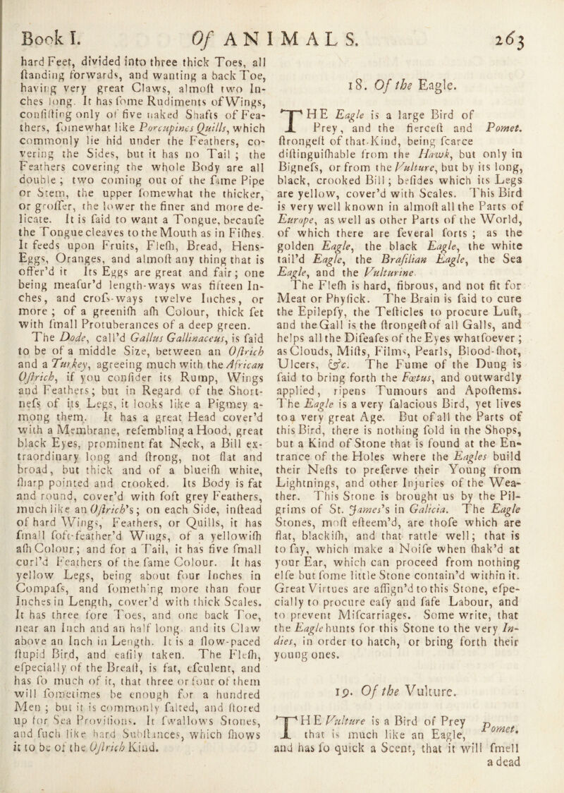 2^3 Book I. Of ANIMAL S. hard Feet, divided into three thick Toes, all (landing forwards, and wanting a back Toe, having very great Claws, almolt two In¬ ches long. It hasfome Rudiments of Wings, confiding only of five naked Shafts of Fea¬ thers, fomewhat like Porcupines Quills, which commonly lie hid under the Feathers, co¬ vering the Sides, but it has no Tail ; the Feathers covering the whole Body are all doubie ; two coming out of the fame Pipe or Stem, the upper fomewhat the thicker, or gr offer, the lower the finer and more de¬ licate. It is faid to want a Tongue, becaufe the Tongue cleaves to the Mouth as in Fifhes. It feeds upon Fruits, Flefli, Bread, Hens- Eggs, Oranges, and almoft any thing that is offer’d it Its Eggs are great and fair; one being meafur’d length-ways was fifteen In¬ ches, and crofs-ways twelve Inches, or more ; of a greenifh afh Colour, thick fet with final 1 Protuberances of a deep green. The Dode, call’d Gallus Gallinaceus, is faid to be of a middle Size, between an Oftrich and a Turkey, agreeing much with the African Oftrich, if you confider its Rump, Wings and Feathers; but in Regard of the Short- nefs of its Legs, it looks like a Pigmey a- mong them. It has a great Head cover’d with a Membrane, refembling a Hood, great black Eyes, prominent fat Neck, a Bill ex¬ traordinary long and ftrong, not flat and broad, but thick and of a blueifh white, (harp pointed and crooked. Its Body is fat and round, cover’d with foft grey Feathers, much like an Oftrich's ; on each Side, inftead of hard Wings,’ Feathers, or Quills, it has final 1 foft-feather’d Wings, of a yellowifli a(h Colour; and for a Tail, it has five fmall curl’d Feathers of the fame Colour. It has yellow Legs, being about four Inches in Compafs, and fomethrng more than four Inches in Length, cover’d with thick Scales, It has three fore Toes, and one back Toe, near an Inch and an half long, and its Claw above an Inch in Length. It is a flow-paced ffupid Bird, and eaiily taken. The Fldh, efpecially of the Bread, is fat, efculent, and has fo much of it, that three or four of them will fometimes be enough for a hundred Men ; but it is commonly faired, and flored up for Sea Provisions. It fwallows Stones, and fuch like hard Sublhnces, which (hows k to be of the. Oftrich Kind. 18. Of the Eagle. THE Eagle is a large Bird of Prey, and the fiercefi and Pomet. flrongelt of that-Kind, being fcarce diflinguifhable from the Hawk, but only in Bignefs, or from the Tuhure, but by its long, black, crooked Bill ; brfides which its Legs are yellow, cover’d with Scales. Phis Bird is very well known in almoflallthe Parts of Europe, as well as other Parts of the World, of which there are feveral forts ; as the golden Eagle, the black Eagle, the white tail’d Eagle, the Braftlian Eagle, the Sea Eagle, and the Huit urine. The Flefh is hard, fibrous, and not fit for Meat or Phyfick. T’he Brain is faid to cure the Epilepfy, the Tellicles to procure Luff, and the Gal 1 is the (Irongellof all Galls, and helps all the Difeafes of the Eyes whatfoever ; as Clouds, Mills, Films, Pearls, Blood-(hot, Ulcers, &c. The Fume of the Dung is faid to bring forth the Fœtus, and outwardly applied, ripens Tumours and Apoftems. The Eagle is a very falacious Bird, yet lives to a very great Age. But of all the Parts of this Bird, there is nothing fold in the Shops, but a Kind of Stone that is found at the En¬ trance of the Holes where the Eagles build their Nells to preferve their Young from Lightnings, and other Injuries of the Wea¬ ther. This Stone is brought us by the Pil¬ grims of St. James's in Galicia. The Eagle Stones, moll elleem’d, are thofe which are fiat, blackifh, and that rattle well; that is to fay, which make a Noife when fhak’d at your Ear, which can proceed from nothing elfe but fome little Stone contain’d within it» Great Virtues are affign’d to this Stone, efpe¬ cially to procure eafy and fafe Labour, and to prevent Mifcarriages. Some write, that the Eagle hunts for this Stone to the very In¬ dies, in order to hatch, or bring forth their young ones. ip. Of the Vulture. Pomet, and has fo quick a Scent, that it will fmell a dead