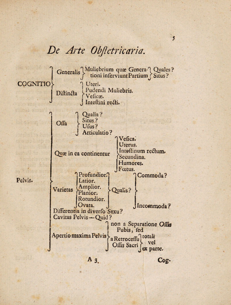 t \ /■ De Arte Obftetricaria. ni r?en,»raliclMuliebl'iLim quae General Quales | venerans j> tioniinferviuntPartiumJSuus? COGNITIO j> 'j Uteri. l’ i Pudendi Muliebris. r Vpfira». Pelvis» j n i Pudendi Diftinaa |>Vefic8e> J Inteflini re&i. '‘j Qualia 7 \ Offa l Situs ? UUa f Ufus? J Articulatio? v IVefica. Uterus. Quae in ea continentur £nteftil1,um reflum’ (Secundina. J Humores. Fcetus. n, ProfundiorH H Commoda? j Latior, I Incommoda? J Rotundior. Ovata, Differentia in diverfo Sexu? Cavitas Pelvis—Quid? H non a Separatione Oflig j Pubis > fed Apertio maxima Pelvis ^ RetrocelTn totali ' Olfis Sacri hvel, j ex parte. » J A 3, Cog-