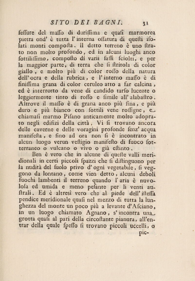 feffure del mallo di duriflìina e quali marmorea pietra ond’ è tutta l’interna oliatura di quelli do¬ lati monti compolla. il detto terreno è uno Ara¬ to non molto profondo, ed in alcuni luoghi anco fottilillìmo, comporto di varii farti fciolti, e per la maggior parte, di terra che li {tritola di color giallo , e molto più di color rollò della natura dell’ocra e della rubrica, e l’interno mallo è di finillima grana di color ceruleo atto a far calcina , ed è interrotto da vene di candido tarfo lucente o leggiermente tinto di rortò e limile all’ alabartro. Altrove il mallo è di grana anco più fina, e più duro e più bianco con fottili vene rortìgne, e_> chiamali marmo Pifano anticamente molto adopra- to negli edilizi della città . Vi fi trovano ancora delle caverne e delle voragini profonde fenz’ acqua manifefta , e fino ad ora non fi è incontrato in alcun luogo verun veftigio maniferto di fuoco fot- terraneo o vulcano o vivo o già efhnto . Ben è vero che in alcune di quelle valli meri¬ dionali in certi piccoli fpazzi che fi diltinguono per la nudità del fuolo privo d’ ogni vegetabile, fi veg¬ gono da lontano, come vien detto, alcuni deboli fuochi lambenti il terreno quando f aria è nuvo- lola ed umida e meno pefante per li venti au- ftrali. Ed è altresì vero che al piede dell’ irtertk pendice meridionale quali nel mezzo di tutta la lun¬ ghezza del monte un poco più a levante d’Afciano, in un luogo chiamato Agnano, s’incontra una_, grotta quali al pari della circoliamo pianura, all’en- trar della quale fpeflò fi trovano piccoli uccelli, o pie-