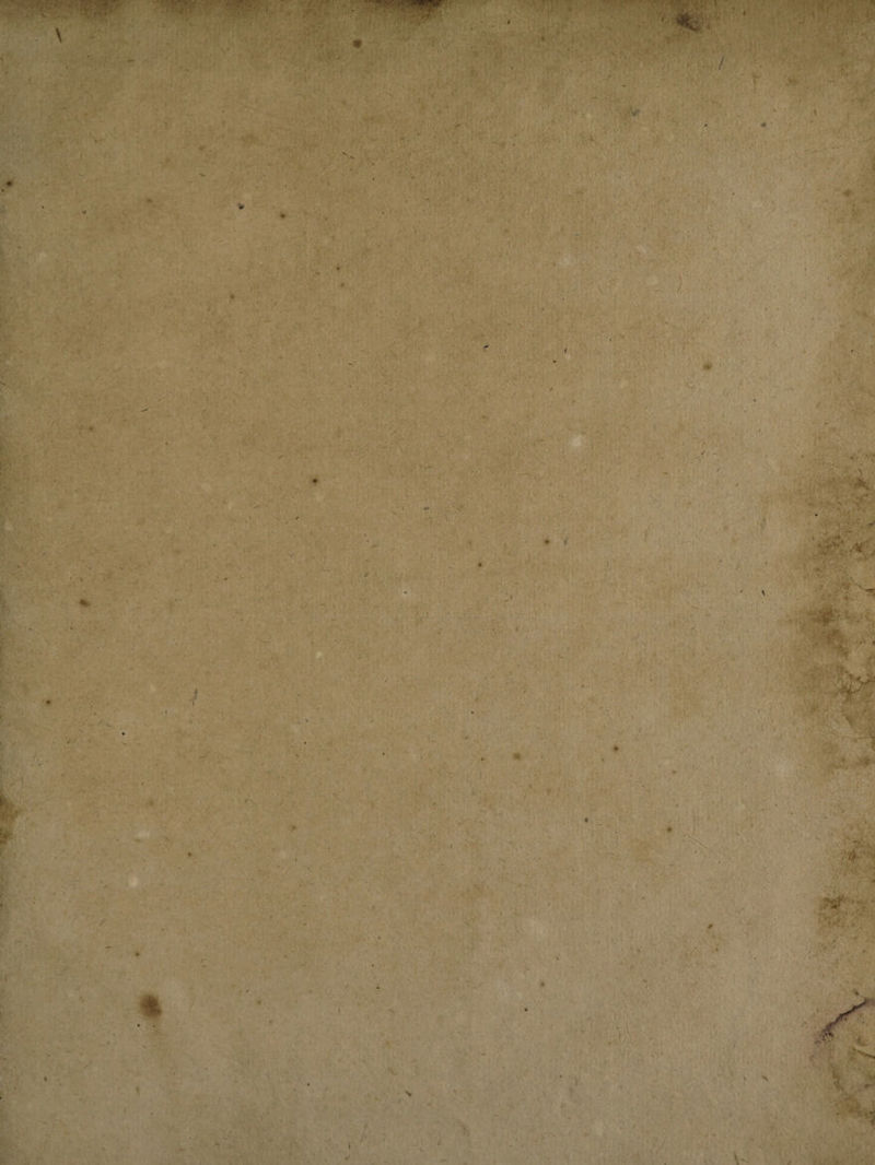 ■ \ y .1 \ f.\ f k i ' i % . /* 1 * x V 7. . ‘.s. •* À 1 ■ .. S. } >V V */ i