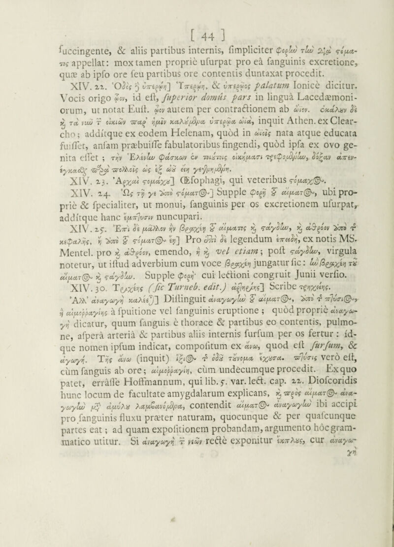[44] ^accingente, & aliis partibus internis, fimpliciter rlu) 2^ appellat: mox tamen proprie ufurpat pro ea fanguinis excretione, quos ab ipfo ore i'eu partibus ore contentis duntaxat procedit. XlV. 'O^cV 'j vTTi^Myi'] dc V7ripr2cg ^^aUtiim Ionice dicitur. \ocis origo ?cv, id /uperior domus pars in lingua Lacedecmoni- orum, ut notat Eulh aev autem per contra6Iionem ab mov. C'^clxiiv ti. ^ Tcc viw T ciKi^v 'zsrci^ r/fjuv vn'£^Mcc ct)icty inquit Athen. ex Clear¬ cbo ; additque ex eodem Helenam, quod in dioig nata atque educata fuifler, aniam pra^builTe fabulatoribus fingendi, quod ipfa ex ovo ge¬ nita elfet ; rr^v 'YjMylw (^da-yteov cv Tsidrsig o\Kr,fXctTy 't^£(poy3flwy ^orav diri-V- iyKctod^ 'wTcTAct? dg dS «>; XIV. 23. ‘ToyJx^'] CEfophagi, qui veteribus XIV. 14. <ro|Uc4T0^3 Supple (po^^ ^ co'.^ctT(^y ubi pro¬ prie & fpecialiter, ut monui, fanguinis per os excretionem ufurpat, additque hanc '{uvi^va-iv nuncupari. XIV. ^5'. ’Ex'i nv ? cd^cLTsg ^ (rdydiwy ^ dS-^oov 'f mpia?dig, r, ^ €^] Pro Sva legendum \7rei^y cx notis MS. Mentel. pro ^ dS-^oov, emendo, ?} ^ vel etiam \ poit ^dyllvy virgula notetur, ut illud adverbium cum voce 9>^xiy\ jungatur fic: cdy.cn(^ ^ ‘^ctyPuv. Supple (poa-)i' cui ledioni congruit Junii verfio. XIV. 30. Te/;tgV (fic Turneb. edit.) Scribe'^ri^drig. ’A;>A’ dvayuyn ycaXiiJ^ Dillinguit d)ia,yuyluj odf^ctT(^, ‘dmi d‘ 7rjv(ri(^x ^ cc<ixoypctyiy,g ii fpuitione vel fanguinis eruptione ; quod proprie dvetye^ y^ dicatur, quum fanguis e thorace & partibus eo contentis, pulmo¬ ne, afpera arteria & partibus aliis internis furfum per os fertur : id- que nomen ipfum indicar, compofitum ex dv^y quod elt JurJiimy & dycdy^. Tij? (inquit) d‘ TdvofA,ct T^iva-ig vevo ell, ciim fanguis ab ore; cdi^o^ayly], cum undecumque procedit. Exquo patet, erralTe Hoffrnannum, quilib. 5*. var. left. cap. Diofeoridis hunc locum de facultate amygdalarum explicans, ^ cu^ctT(^ dvct~ yuylw /d^ df^iv^a contendit dvayuylw ibi accipi pro fanguinis fluxu pra?ter naturam, quocunque & per qualcunque partes eat; ad quam expolitionem probandam, argumento hoc gram¬ matico utitur. Si di'uycoy^ r vidv rcdc exponitUt 'iKTrXagj cur dvayui'