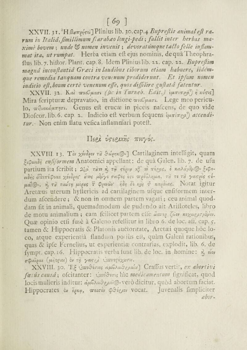 [ ^9 ] XXVII. 3 T. iS^TT^^/Vei] Plinius lib. 30.cap.4 Btiprejiis animaleji ra- rum in Italia, Jimillimum fiarahao longt-pedi\ fallit inter herbas ma- xime bovem ; unde ^ nomen invenit; devoratlimque talio felLe inflam¬ mat ita, ut rumpat. Herba etiam eP ejus nominis, dequaTheophra- Ilus lib.7. hiltor. Piant, cap. 8. Idem Plinius lib. -l-l. cap. ii. Bupreftim magna mconflantid Graci in laudibus ciborum etiam habuere. Udem- que remedia tanquam contra vemmtm prodiderunt. Et ipfurn nomen indicio efl,boum certe venenum ejfe, quos dijfllire guflatd fatentur. XXVII. 3X. Kcu 'zs-vdjfjLcta-i (fic in Eurtteh. Edit.) if^TTiTr^i^ jj Mira fcripturce depravatio, in didlonc 'sirvdip.cia-i. Lege meo pericu¬ lo, ‘ZffiJuoKdfjLTTi^a-i. Genus ell eriicaj in piceis nafcens, de quo vide Diofeor. lib.6. cap. z. Indicio elt verbum fequens accendi¬ tur. Non enim liatu velica inflammari poiefl. Ttnyog. XXVIII 13. Tev Cartilaginem intelligit, quam enfljormem Anatomici appellant: de qua Galen. lib. 7. de ufu partium ita feribit ; rS-m ^ tm ro Trk^g, c EhTTiCpvKe i^yi crctfig 'sr^0oA}j//-ci, rS re rS yct^^og qo~ fzclj<^, ^ rcojTi} fe^yg r Cp^evav' fj^y] be G-/ Kao^lag. Notat igitur ArecaDUS uterum hyitericis ad cartilaginem ufque enTiformem inter¬ dum afeendere ; & non in omnem partem vagari; ceu animal quod¬ dam fit inanimali, quemadmodum de pudendo ait Arilloteles, libro de motu animalium ; eam fcilicet partem elle dcw-e^ QueS opinio etli fuse a Galeno refellitur in libro 6. de loc. aif. cap. y. tamen & Hippocratis & Platonis aubtoritate, Aretsei quoque hoc lo¬ co, atque experientia flandtnn poiius eil, quam Galeni rationibus, quas & ipfe Fernelius, ut experientia: contrarias, explodit, lib. 6. de fympt. cap. 16. Hippocratis verba lunt lib. de loc. in homine: my crC^cu^ou {fi]r^cu) ov yci‘rfl XXVIII. 30. xsa^S-ecricg <t(zCAa)S-(^cd.ii~\ CraflTus verti, ex abortivi foeius causd\ ofeitanter: G^csi^er^gMxz medicamentum flgnificat, quod locismulieris inditur: vero dicitur, quod abortum faciat. Hippocrates a/ rmecssly vocat. juvenalis fimpliciter abor-