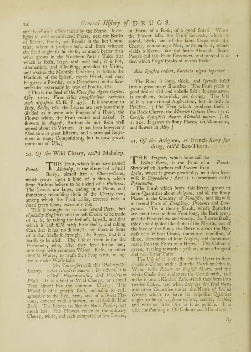 and therefore îs often called by the Name. It de¬ lights in wild uncultivated Places, near the Banks of Rivers, Ponds, and Brooks in the hot Coun¬ tries, where it profpers beft, and from whence the Seed ought to be chofe, as much better than what grows in the Northern Parts : Take that which °is frefh, large, and well fed ; it is hot, attenuating, and difeuffing, provokes to Urine, and excites the Monthly Courfes ; it foftens the Hardnefs of the Spleen, expels Wind, and may be given in Powder, or a Decoction ; and is like- wife ufed externally by wav of Poultis, ÜV. [This is the Seed of the Vitex five Agnus Cafus. Ger. j 201. Vitcx follis angujlioribus cannabis modo difpofitis. C. B. P. 475. It is common in Italyy Sicily, (Ac. the Leaves are very beautifully divided as it were into Fingers of a Hand, the Flower white, the Fruit round and naked. It flowers in Augu/l : Authors do not feem well agreed about its Virtues. It has been however a Medicine in great Efteem, and a principal Ingre¬ dient in many Compofitions, but is now grown quite out of Ufe. J 20. Of the Wild Cherry, call'd Mahalep. THIS Fruit, which fome have named Mahalep, is the Kernel of a fmall Berry, almoft like a Cherry-ftone, which grows upon a kind of a Shrub, which fome Authors believe to be a kind of a Phillirea. The Leaves are large, ending in a Point, and fomething refembling thofe of the Cherry-tree, among which the Fruit arifes, covered with a fmall green Coat, extreamly thin. This is brought to us from feveral Parts, but efpecially England ; and the beft Choice to be made of it, is, bv taking the frefheft, largeft, and that which is leaft fill’d with little Shells, and taking Care that it has no ill Smell ; for there is fome of it that fmells fo ftrongly, like Buggs, that it is hardly to be ufed. The Ufe of them is for the Perfumers, who, after they have broke ’em, mix them with common Water, Rofe, or other diftill’d Water, to wafh their Soap with, in ol¬ der to make Wsill-balls. Mr. 'Tournefort calls this Mahalep Ce- Lemcry. rafus fylvefris amara : By others, it is called  Pbamctccrafus, .and Vaccinium Plinii. It is a kind of Wild Cherry, or a fmall Tree almoft like the common Cherry : The Wood is of a greyilh Caft, inclinable to red, agreeable to the Eye, firm, and of a fweet Fla¬ vour, covered with a brown, or a blackifh blue Bark : The Leaves are like the black Poplar, but much Ids : The Flowers refemble the ordinary Cherry, white, and each compofed ol five Leaves, in Form of a Rofe, of a good Smell. When the Flower falls, the Fruit fucceeds, which is round, black, and of the fame Shape with the Cherry, containing a Nut, or Stone in it, which yields a Kernel like the bitter Almond. Some People call this Fruit Vaccinium, and pretend it is that which Virgil fpeaks of in this Verfe Alba ligujlra cadunt, Vaccinia nigra legunlur The Root is long, thick, and fpreads itfelf into a great many Branches : The Fruit yields a good deal of Oil and volatile Salt : It attenuates, is emollient, fudorifick, and drying. The Ufe of it is for external Application, but is little in PraiSfice. [The Tree which produces thefe is the Rock Cherry, the Macaleb Gefncri Ger. 12 1 i. Cerafus Sylvcfris Amara Mahaleb putata. J. B. 1. 227. It grows in ftony Places, on Mountains, and flowers in May.J 2i. Of the Avignon, or French Berry for dying, call'd Box-Thorn. H E Avignon, which fome call the Yellovj Berry, is the Fruit of a Pomet. Shrub which Authors call Lycium from Lycia, where it grows plentifully, as it does like- wife in Cappadocia : And it is fometimes call’d Pyracantha. The Shrub which bears this Berry, grows in large Quantities about Avignon, and all the ftony Places in the Country of Venaijfin, and likewife in feveral Parts of Dauphiny, Provence and Lan¬ guedoc. ’Tis a thorny Shrub, whofe Branches are about two or three Foot long, the Bark grey, and the Root yellow and woody, the Leaves fmall, thick and difpofed like thofe of the Myrtle, but of the Size of the Box ; the Berry is about the Big- nefs of a Wheat Grain, fometimes confifting of three, fometimes of four Angles, and fometimes made into the Form of a Heart. The Colour is green, turning towards a yellow, of an aftringent and very bitter Tafte. The Ufe of it is chiefly for the Dyers to fta n a yellow Colour with : But the Dutch boil this in Water with Roman or Englifi Allum, and the white Chalk they adulterate the Cerufs with, and make it into a Kind of Pafte which they form into twifted Cakes, and when they are dry fend them into other Countries under the Name of Stil de Grain -, which to have its requifite Qualities ought to be of a golden yellow, tender, friable, and with as little Dirt in it as poftible. It is ufed for Painting in Oil Colours and Miniature. By