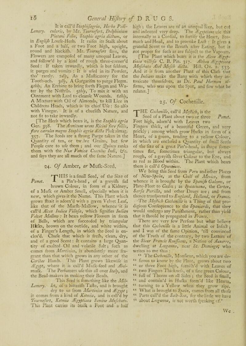 It is Call’d Staphifagria, Herba Pedi- Lemery. cularis, by Mr. Tournefort, Delphinium Platani Folio, Staphis agria dihum, or in EngliJI) Loufe-Herb. It raifes its Stalk about a Foot and a half, or two Foot high, upright, round and blackifh. Mr. Tournefort fays, the Flowers are compofed of many unequal Leaves, and follow’d by a kind of rough three-corner’d Seed : If taken inwardly, which is but feldom, it purges and vomits : It is ufed in its Powder, tho’ rarely. 2dly, As a Mafticatory for the Tooth-ach. 3dly, A Gargarifm to purge Flegm. 4thly, An Errhine to bring forth Flegm and Wa¬ ter by the Noftrils. 5thly, To mix it with an Ointment with Lard to cleanfe Wounds. 6thly, A Mixture with Oil of Almonds, to kill Lice in Childrens Heads, which is its chief Ufe: So alfo with Vinegar. It is of a churlilh Nature, and not fit to take inwardly. [The Herb which bears it, is the Staphis agria Ger. 398. The Aconitum urens Ricini fere foliis, fore cezruleo magno Staphis agria didla Plukalmag. 357. The Seeds are a ilrong Purge taken in the Quantity of ten, or twelve Grains, but few People care to ufe them ; and our Quincy ranks them with the Nux Vomica Coeculus Indi, &c. and fays they are all much of the fame Nature.] 24. Of Amber, or Mufk-Seed. THIS isafmall Seed, of the Size of a Pin’s-head , of a greyifh fad brown Colour, in form of a Kidney, of a Mufk or Amber Smell, efpecially when it is new, which gives it the Name. This Plant which grows lirait is adorn’d with a green Velvet Leaf, like that of the Marfh-Mallow, whence'it is call’d Alcea Indica Villofa, which fignifies Indian Velvet Mallozv : It bears yellow Flowers in form of Bells, which are fucceeded by triangular Hàfks, brown on the outfide, and white within, of a Finger’s Length, in which the Seed is en¬ clos’d. Chufe that which is frefh, clean, dry, and of a good Scent : It contains a large Quan¬ tity of exalted Oil and volatile Salt ; fuch as comes from Martinico, is abundantly more fra¬ grant than that which grows in any other of the Caribee Iflands. This Plant grows likewife in Ægypt, where it is call’d Mufk-feed and Abel- mufk. The Perfumers ufe this all over Italy, and the Bead-makers in making their Beads. This Seed is fomething like the Mil- Lemery. let, of-a bitterifh Tafte, and is brought dry to us from Martinico and Ægypt ; it comes from a kind of Ketmia, and is call’d by Tournefort, Ketmia Ægyptiaca Semble Mofchato. This Plant carries its Stalk a Foot and a half high ; the Leaves are of an unequal Size, but cut and indented very deep. The /Egyptians ufe this internally as a Cordial, to fortify the Heart, Sto¬ mach and Head, and to provoke Lull : It gives a grateful Scent to the Breath after Eating, but is not proper for fuch as are fubjefl to the Vapours. [The Plant which bears it is the Alcea Ægyp¬ tiaca vil lofa C. B. Pin. 317. Althea Ægyptiaca Mofchata Abel Mofch diha. Hifl. Ox. 2. 533. And it is from another Plant of this Clafs that the Indians make the Bang with which they in¬ toxicate themfelves, as Dr. Paul Herman af¬ firms, who was upon the Spot, and faw what he relates.] • 25. Of Cochenille. HE Cochenille, call’d Mefich, is the Seed of a Plant about two or three Pomct. Feet high, adorn’d with Leaves two lingers thick, of a beautiful Green, and very prickly ; among which grow Hulks in form of a Heart, of a green, tending to a yellow Colour, in which are enclofed a Quantity of final! Seeds of the fize of a great Pin’s-head, in fhape fome- times flat, fometimes triangular, but always rough, of a greyifh filver Colour to the Eye, and as red as Blood within. The Plant which bears them is call’d Opunùum. We bring this Seed from Peru and other Place3 of Nezv-Spain, as the Gulf of Mexico, from whence it is brought by the Spanifh Galcons, or Plate-Fleet to Cadiz ; as Ipecacuana, the Cortex, Sarfa Parilla, and other Drugs are ; and from thence tranfported to England, Holland, or France. 1 he Mejlich Cochenille is a Thing of that pro¬ digious Confequence to the Spaniards, that they would undergo any Punifhment, rather than yield that it fhould be propagated in France. There are very few Perfons but what believe that this Cochenille is a little Animal or Infect ; and I was of the fame Opinion, ’till convinced of the Truth of the contrary, by two Letters of the Sieur Francis Rouffeans, a Native of Auxerre, dwelling at Lcoganna, near St. Dcmingo, who writes to me thus : “ The Cochenille, Monfieur, which you are de- “ firous to know by the Plant, grows about two “ or three Foot high, furnifh’d with Leaves of “ two Fingers Thicknefs, of a fine green Colour, “ full of Thorns on all Sides ; the Seed is final], “ and contain’d in Hulks form’d like Plearts, “ turning to a Yellow when they grow ripe. “ What is brought to Spain, comes from all thofe “ Parts call’d the Salt-Sea, for the little we have “ about Leoganna, is not worth fpeaking cf.’ We