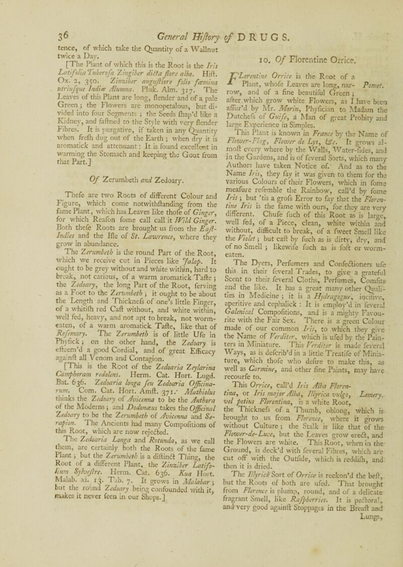 fence, of which take the Quantity of a Wallnut twice a Day. [The Plant of which this is the Root is the Iris LatifoliaTuberofa 'Zingiber diet a fiore albo. Hift. Ox. 2, 3^0. Zinziber angufhore folio fannina utriufque Indies Alumna. Pluk. Aim! 317. The Leaves of this Plant are long, llender and of a pale Green ; the Flowers are monopetalous, but di¬ vided into four Segments ; the Seeds fhap’d like a Kidney, and faftned to the Style with very /lender Fibres. It is purgative, if taken in any Quantity when frefh dug out of the Earth ; when dry it is aromatick and atténuant : It is found excellent in warming the Stomach and keeping the Gout from that Part.] Of Zerumbeth and Zedoary. Thefe are two Roots of different Colour and Figure, which come notwithftanding from the fame Plant, which has Leaves like thofe of Ginger, for which Reafon fome call call it Wild Ginger. Both thefe Roots are brought us from the Eajl- Indies and the I/le of St. Lawrence, where they grow in abundance. The Zerumbeth is the round Part of the Root, which we receive cut in Pieces like Jalap. It ought to be grey without and white within, hard to break, not carious, of a warm aromatick Tafte ; the Zedoary, the long Part of the Root, ferving as a Foot to the Zerumbeth ; it ought to be about the Length and Thicknefs of one’s little Finger, of a w'hitifh red Caft without, and white within, well fed, heavy, and not apt to break, not w'orm- eaten, of a warm aromatick Tafte, like that of Rofemary. The Zerumbeth is of little Ufe in Phyfick ; on the other hand, the Zedoary is efteem’d a good Cordial, and of great Efficacy againft all Venom and Contagion. [This is the Root of the Zedoaria Zeylarina Camphor am redolens. Herm. Cat. Hort. Lugd. Bat. 636. Zedoaria longa feu Zedoaria Officina- rum. Com. Cat. Hort. Amft. 371/ Mathiolus thinks the Zedoary of Avicenna to be the Anthora of the Moderns ; and Dodoneeus takes the Officinal Zedoary to be the Zerumbeth of Avicenna and Se- rapion. The Ancients had many Compofnions of this Root, which are now rejected. The Zedoaria Longa and Rotunda, as we call them, are certainly both the Roots of the fame Plant ; but the Zerumbeth is a diftinél Thing, the Root of a different Plant, the Zinziber Latifo- lium Sylvejlre. Herm. Cat. 636. Kua Hort. Malab. xi. 13. Tab. 7. It grows in Malabar ; but the round Zedoary being confounded with it, makes it never feen in our Shops.] 10. Of Florentine Orrice. Lorentine Orrice is the Root of a Plant, whofe Leaves are long, nar- Pomef. row', and of a fine beautiful Green ; after which grow white Flowers, as I have been affur’d by Mr. Morin, Phyfician to Madam the Dutchefs of Guife, a Man of great Probity and large Experience in Simples. Lhis Plant is known in France by the Name of Flower-Flag, Floiver de Lys, {dc. It grows al- moft every where by the Walls, Water-fides, and in the Gardens, and is of feveral Sorts, which many Authors have taken Notice of. And as to the Name Ins, they fay it was given to them for the various Colours of their Flowers, which in fome meafure refemble the Rainbow, call’d by fome Iris ; but ’tis a grofs Error to fay that the Floren¬ tine Iris is the fame with ours, for thc-y are very different. Chufe fuch of this Root as is large, w'ell fed, of a Piece, clean, white within and without, difficult to break, of a fu'eet Smell like the Violet ; but caft by fuch as is dirty, dry, and of no Smell j likew'ife fuch as is foft or worm- eaten. The Dyers, Perfumers and Confectioners ufe this in their feveral Trades, to give a grateful Scent to their feveral Cloths, Perfumes, Comfits and the like. It has a great many other Quali¬ ties in Medicine ; it is a Hydragogue, incifive, aperitive and cephalick : It is employ’d in feveral Galenical Compofitions, and is a mighty Favou¬ rite with the Fair Sex. There is a green Colour made of our common Iris, to which they give the Name of Verditer, which is ufed by the Pain¬ ters in Miniature. Fhis Verditer is made feveral Me ays, as is deferib’d in a little Treatife of Minia¬ ture, which thofe who defire to make this, as well as Carmine, and other fine Paints, may have recourfe to. _ This Orrice, call’d Iris Alba Floren- tina, or Iris major Alba, Illyrica vulgo, Lemery. vel potius Florentina, is a white Root, the Thicknefs of a Thumb, oblong, which is brought to us from Florence, where it grows without Culture ; the Stalk is like that of the Flower-de-Luce, but the Leaves grow eredf, and the Flowers are white. This Root, when in the Ground, is deck’d wdth feveral Fibres, which are cut off with the Outfide, which is reddi/h, and then it is dried. The Illyrick Sort of Orrice is reckon’d the beft, but the Roots of both are ufed. That brought from Florence is plump, round, and of a delicate fragrant Smell, like Rafpberries. It is pecloral, and-very good againft Stoppages in the Breaft and Lungs,