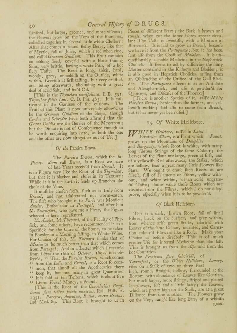 Linfeed, but larger, greener, and more vifeous ; the Flowers grow on the Tops of the Branches, colledled together in feveral little white Clufters : After that comes a round flefhy Berry, like that of Myrtle, full of Juice, which is red when ripe, and call’d Granum Gnldium. This Fruit contains an oblong Seed, cover’d with a black fhining Skin, very brittle, having a white Pith, of a hot fiery Tafle. The Root is long, thick, hard, woody, grey, or reddifh on the Outfide, white within, fweetifh at firft tailing, but very caultick and biting afterwards, abounding with a great deal of acrid Salt, and fix’d Oil. [This is the Tbymelcea monfpeliaca. LB. 591. \Thymehea foliis Lini. C. B. Pin. 463. It is cul¬ tivated in the Gardens of the curious. T. he Fruit of this Plant is now univerfally allow’d to be the Granum Gnldium of the Shops, though Cordus and Schroder have both affirm’d that the Grana Gnidia are the Berries of the Mezereon ; but the Difpute is not of Confequence enough to be worth enquiring into here, as both the one and the other are now altogether out of Ufe.] Of the Pareira Brava. The Pareira Brava, which the In- Pomet. diam call Botua, is a Root we have of late Years receiv’d from Brazil. It is in Figure very like the Root of the ThymeUa, but thaï it is blacker and clofer in its Texture : While it is in the Earth it fends up Branches like thofe of the Vine. It mull be chofen frefh, fuch as is truly from Brazil, and not adulterated nor worm-eaten. The fini who brought it to Paris was Mpnfieur Amelot, Embaffador in Portugal and after him M. Tournefort, who gave me a Piece, the Figure whereof is here reprefented. M. Amelot, M.Thevard, of the Faculty of Phy- fick, and fome others, have recommended it as a Specifick for the Cure of the Stone, to be taken in Powder in a Morning falling, in White-Wine. For Choice of this, M. Tbevard thinks that of Mexico to be much better than that which comes from Portugal : And in a Letter which I receiv’d from Lijbcn the 16th of October, 1692, it is ob- ferv’d, “ That the Pareira Brava, which comes “ from the Indies and Brazil, is a Root fo com- “ mon, that almoll all the Apothecaries there «« keep it, but not many in great Quantities. “ It is fold at ten Tellons, which is about five “ Livres French Money, a Pound. [This is the Root of the Convolocilus Braf- lianus fore iettra petalo monoccus. Rai. Hill, 2. 1331. Pareyra, Arnbutua, Butua, overa Brutua. Ind. Med. 89. This Root is brought to us in Pieces of different Sizes ; the Bark is brown ami rough, when cut the inner Fibres appear circu¬ lar : The. Tafle is fweetifh, with a Mixture of Bitternefs. It is laid to grow in Brazil, becaufe we have it from the Portugueze ;. but it has been fent alfo from the Coall of Malabar. It is un-- queflionably a noble Medicine in the Nephritick Cholick. It feems to a£l by difl'olving the llimy Matter contain’d in.the Kidneys and Bladder ; it is alfo good in Hepatick Cholicks, arifing from an Obftruâion of the Orifice of the Gall Blad¬ der. The Portugueze elleem it as an Antidote and Alexipharmick, and ufe it powder’d for Quinceys, and Difeafes of the Thorax.] [There is another Species of it, call’d White Pareira Brava, harder than the former, and yel- lowifh within ; faid alfo to come from Brazily but it has never yet been ufed.J 15. Of White Hellebore. JJfHlTE Hellebore, call’d In Lathi Veratrum Album, is a Plant which Pomet. grows on the Mountains of Dauphine and Burgundy, whofe Root is white, with many long fibrous Strings of the fame Colour ; the Leaves of the Plant are large, green at firfl, and of a yellowifh Red afterwards, the Stalks, which are hollow, bear a great many little Flowers like Stars. We ought to chufe fuch Roots as are fairefl, full of Filaments or Fibres, yellow with¬ out, and white within, of an acrid ungrate¬ ful Tafle ; fome value thofe Roots which are cleanfed from the Fibres, which I do not difap- prove, elpecially when it is to be powder’d. Of Black Hellebore. This is a dark, brown Root, full of fmnll Fibres, black on the Surface, and grey within, from whence arife green Stalks, adorn’d with Leaves of the fame Colour, indented, and Carna¬ tion colour’d Flowers like a Rofe. Make your Choice as before directed: This is of much greater Ufe for internal Medicine than the lafl. This is brought us from the Alps and from the hot Countries. The Veratrum fore fubviridi, of Tournefort, or the White Hellebore, Lemery. rifes on a Stalk of two or three Feet high, round, flraight, hollow, furrounded at the Bottom with abundance of Leaves like Gentian, but much larger, more flringy, flriped and plaited lengthways, fort and a little hairy; the Leaves, which are pretty high on the Stalk, are at a great Difiance from one^another. The Flowers grow on tire Top, rang’d like long Ears, of a whitifh green
