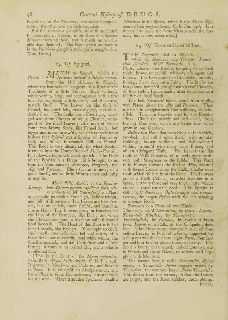 Ingredient in the Thertaca, and other Compor¬ tions ; the other two are little regarded. But the Valeriana fylvejlris, now fo much and fo defervedly in Edeem, is the Root of a Species different from all thefe, and is much more valu¬ able than them all : The Plant which produces it Is the Valeriana fylvejlris major foliis angujioribus, Mor. Umb.J 24. Of Spignel. ÿl/f EUM or Spignel, which the Pomet. dX X An tien ts furnam’d Athamanticum, from the Hill A.hamas in Thejfaly, where the befh W3S faid to grow, is a Root of the Thicknefs of a little Finger, black without, white within, long, and accompanied with a few finall Roots, acrid, a little bitter, and of an aro- matick Smell. The Leaves are like thofe of Fennel, but much lefs, more divided, and abun¬ dantly finer. The Stalks are a Foot high, char¬ ged with fome Clufters of white Flowers, com¬ pos’d of five final] Leaves ; after each of which come two brown Seeds, like Fennel Seeds, but bigger and more furrow’d ; which has made fome believe that Spignel was a Species of Fennel or Dill, and fo call it crooked Dill, or Fennel. This Root is very alexiterial, for which Reafon it enters into the Compofition of Venice-Treacle : It is likewife fudorifick and diuretick : The Dofe of the Powder is a Dram. It is brought to us from the Mountains of Auvergne, Burgundy, the Alps and Pyrenees. Chufe fuch as is new, of a good Smell, and as little Worm-eaten and duffy as may be. Meum Foliis Anethi, or the Fcenicu- Lemery. lum Alpinum perenne capillacèo folio, ado¬ re medieato of M. Tournefort, is a Plant which raifes its Stalk a Foot high, hollow within, and full of Branches : The Leaves are like Fen¬ nel, but much lefs, more flafh’d, and almod as fine as Hair : The Flowers grow in Bunches on the Tops of the Branches, like Dill ; and when the Flowers are gone, a Swallow-tail’d furrow’d Seed fucceeds. The Head of this Root is full of long Threads, like Eryngo. You ought to chufe the lontreft, rounded, well fed and entire, of a blackifh Colour outwardly, and white within, the Smell aromatick, and the Tade fharp and a little bitter ; it contains an exalted Oil, and a volatile or eflential Salt. [This is the Root of the Meum vulgaiius, Park. 8S8. Meum Foliis Anethi, C. B. Pin. 148. It grows in Meadows and Paftures, and flowers in June. It is edeem’d an Alexipharmick, and has a Place in fome Compofitions, but otherwife is little ufed. There is another Species of it call’d Mutellina in the Shops, which is the Meum Alpi¬ num umbclla purpurajcente, C. B. Pin. 148. It is fuppos’d to have the fame Virtues with the for¬ mer, but is now never ufed.] 25. Of Tormentil and Biftort. H E Tormentil ufed in Fhyfick, which C. Bauhinus calls Tor men- Pomet. iilla fylvejlris, Wild Tormentil, is a Plant, whereof the Root is lumpifh, of an Inch thick, brown or reddilh without* adringent and fibrous. The Leaves are like Cinquefoil, fmooth, fhining, fix or feven at a Joint. The Stalks arc low, fhort, branch’d, charg’d with feveral Flowers, of four yellow Leaves each ; after which conies a Cluder of fmall Seeds. The bed Tormentil Roots come from grafly, wet Places about the Alps and Pyrenees. They ufe thefe in alexipharmick Compofitions, as fudo¬ rifick. They are likewife ufed for the Bloody- Flux. Chufe the newed and bed dry’d, from the hot Countries, which are better than what grow in our Gardens. Biftort is a Plant that has a Root an Inch thick, crooked, and roll’d upon itfelf, with annular Foldings, brown without, and fiefn-colour’J within, trimm’d with many hairy Fibres, and of an adringent Tade. The Leaves are like thofe of Wild Patience, of a lively green with¬ out, and a Sea-green on the Infide. This Plant is in Flower towards the End of May, adorn’d with feveral Leaves along the Stalk, fmaller than thofc which rife fird from the Root. The Flowers are of a Fledi Colour, crowded together in a Spike, but very fhort and very thick ; after which comes a three-corner’d Seed. This Species is call’d by C. Bauhinus, Bijlorta major radice minus in tor ta, the larger Bijlsrt with the lefs winding or crooked Root. Tormentil is a Plant of two Kinds : The fird is call’d Tormentilla, by Ray ; Lemery. Tormcntilla fylvejlris, by Tournefort ; Heptaphyllum, by Fuchfius, by reafon it bear3 feven Leaves on a Stalk, as the Cinquefoil does five. The Flowers are compos’d each of four yellow Leaves, in Form of a Rofe, fupported by a Cup cut and divided into eight Parts, four lar¬ ger and four fmaller placed interchangeably. The Root is knotty and unequal, and delights to grow in Woods and fhady Places, or others well fup- ply’d with Moidure. The fécond Sort is call’d Tormentilla Alpina major, or Tormentilla Alpina vulgaris major, by Tournefort, the common larger Alpine Tormentil : This differs from the former, in that the Leaves are larger, and the Root thicker, more plump, redder,