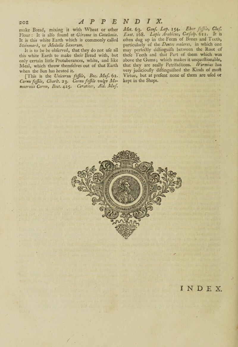 make Bread, mixing it with Wheat or other Flour : It is alfo found at Gironne in Catalonia. It is this white Earth which is commonly called Steinmark, or Medulla Saxorum. It is to be be obferved, that they do not ufe all this white Earth to make their Bread with, but only certain little Protuberances, white, and like Meal, which throw themfelves out of that Earth when the Sun has heated it. [This is the Unicornu fojjile, Boc. Muf. 62. Cornu feffile, Char It. 23. Cornu fofftle vulgo Mo- nocerotis Cornu, Beet. 425. Ceratitesy Aid. Muf. Met. 63. Genf. Lap. 154. Ebur foJji!ey Cluf, Exot. 168. Lapis Arabieusy Cœfalp. 611. It is often dug up in the Form of Bones and Teeth, particularly of the Dentes molares, in which one may perfectly diftinguifh between the Root of thefe Teeth and that Part of them which was above the Gums ; which makes it unqueftionable, that they are really Petrifactions. Wormius has very judicioufly diftinguifhed the Kinds of moft Virtue, but at prefent none of them are ufed or kept in the Shops. ï N D E X.