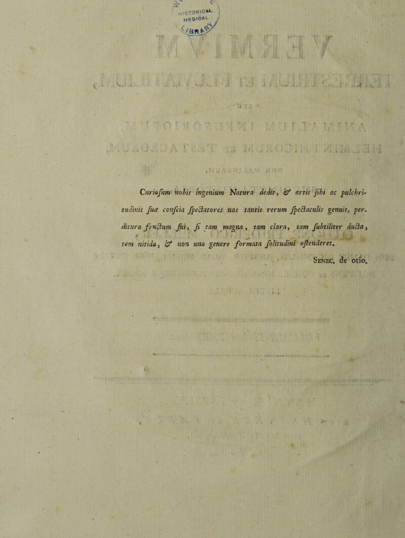 ,V' - , \ histofuc*4- ; meoioau ct***P' V :r u 7 :.A : V r r Cnriojim nohis ingenium Natura dedit, rntif jibi ac pulchri¬ tudinis ftue confcia fpe elator es nos tantis rerum fpcctaculis genuit, per. ditura fructum fui, Ji tam magna, tam clara, tam fuhtiliter ducta, ' J . . ■ . J u nitida, & non uno genere formata folitudini ojletideret. Senfx, de otio*