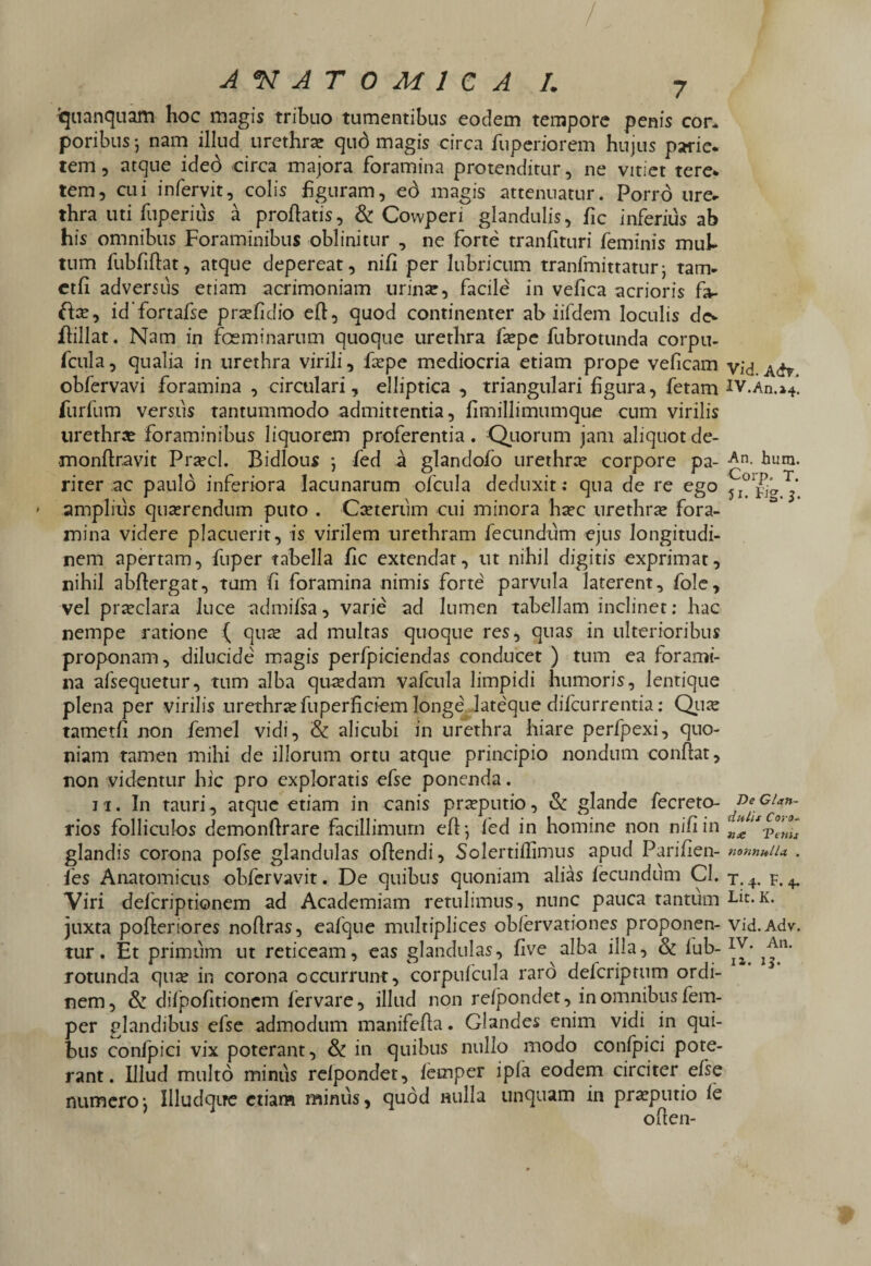 / ANATOMICA I. 7 tyianquam hoc magis tribuo tumentibus eodem tempore penis cor. poribus; nam illud urethrae qub magis circa fuperiorem hujus paric. tem, atque ideo -circa majora foramina protenditur, ne vitiet tere* tem, cui infervit, colis figuram, eo magis attenuatur. Porro ure- thra uti fuperius a proflatis, & Cowperi glandulis, fic inferius ab his omnibus Foraminibus oblinitur , ne forte tranfituri feminis mul¬ tum fubfiflat, atque depereat, nifi per lubricum tranfmittaturj tam- etfi adversus etiam acrimoniam urinar, facile in vefica acrioris fo- ftae, idfortafse praefidio efl, quod continenter ab iifdem loculis de- flillat. Nam in feminarum quoque urethra faepc fubrotunda corpu- fcula, qualia in urethra virili, faepe mediocria etiam prope veficam obfervavi foramina , circulari, elliptica , triangulari figura, fetam furfum versus tantummodo admittentia, fimillimumque cum virilis urethrae foraminibus liquorem proferentia. Quorum jam aliquot de- •monffravit Praecl. Bidlous j fed a glandofo urethra corpore pa¬ riter ac paulo inferiora lacunarum ofcula deduxit; qua de re ego ' amplius quaerendum puto . Caeterum cui minora haec urethra fora¬ mina videre placuerit, is virilem urethram fecundum ejus longitudi¬ nem apertam, fuper tabella fic extendat, ut nihil digitis exprimat, nihil abflergat, tum fi foramina nimis forte parvula laterent, fole, vel praeclara luce admifsa, varie ad lumen tabellam inclinet: hac nempe ratione ( quae ad multas quoque res, quas in ulterioribus proponam, dilucide magis perfpiciendas conducet ) tum ea forami¬ na afsequetnr, tum alba quaedam vafcula limpidi humoris, lentique plena per virilis urethrae fuperficiem longe late'que difcurrentia: Quae tametfi non femel vidi, & alicubi in urethra hiare perfpexi, quo¬ niam tamen mihi de illorum ortu atque principio nondum conflat, non videntur hic pro exploratis efse ponenda. 11. In tauri, atque etiam in canis praeputio, & glande fecreto- rios folliculos demonflrare facillimum efl*, fed in homine non nifi in glandis corona pofse glandulas oflendi, Solertiflimus apud Parifien- fes Anatomicus obfervavit. De quibus quoniam alias fecundum Cl. Viri defcriptionem ad Academiam retulimus, nunc pauca tantum juxta pofleriores noflras, eafque multiplices obfervationes proponen¬ tur. Et primum ut reticeam, eas glandulas, five alba illa, & fub¬ rotunda quae in corona occurrunt, corpufcula raro delcriptum ordi¬ nem, Sz difpofitioncm fervare, illud non refpondet, in omnibus fem- per glandibus efse admodum manifefla. Glandes enim vidi in qui¬ bus confpici vix poterant, &: in quibus nullo modo confpici pote¬ rant. Illud multo minus refpondet, femper ipfa eodem circiter efse numero*, Illudqire etiam minus, quod nulla unquam in praeputio fe oflen- Vid. Adr. IV.An.i4. An. hura. Corp. T. 51* t'Jg. 3. De Glan¬ dulis Coro¬ na Venu nonnulla. . T. 4. F. 4. Lit. K. Vid. Adv. IV. A11. ii. 13.