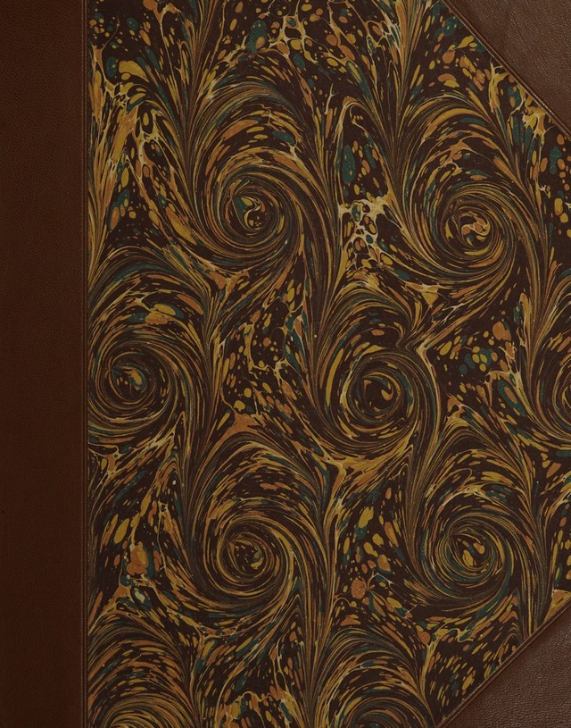 No text description is available for this image