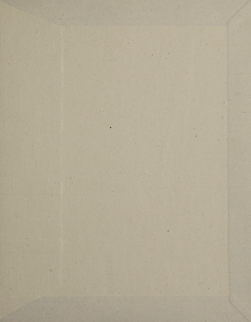 - y ,  • ■ ■ .. ...