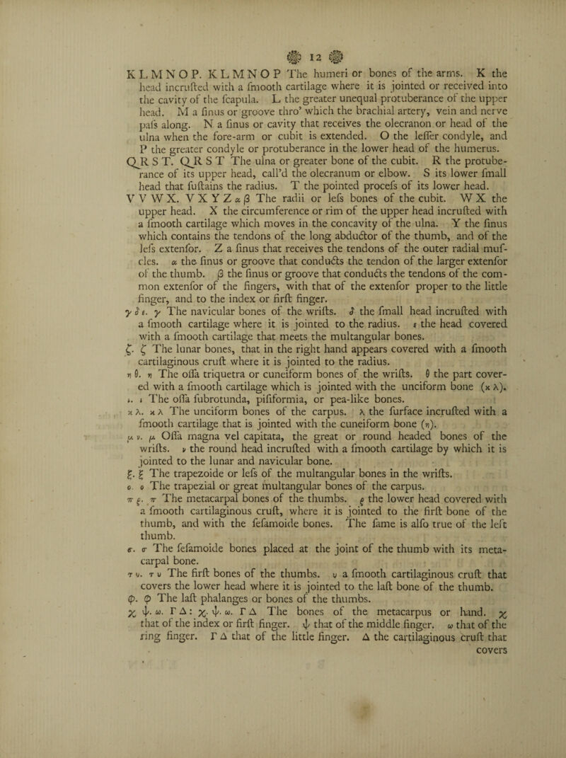 K L M NOP. KLMNOP The humeri or bones of the arms. K the head incrufted with a fmooth cartilage where it is jointed or received into the cavity of the fcapula. L the greater unequal protuberance of the upper head. M a finus or groove thro’ which the brachial artery, vein and nerve pafs along. N a finus or cavity that receives the olecranon or head of the ulna when the fore-arm or cubit is extended. O the leffer condyle, and P the greater condyle or protuberance in the lower head of the humerus. QJR. S T. QJR. S T The ulna or greater bone of the cubit. R the protube¬ rance of its upper head, call’d the olecranum or elbow. S its lower fmall head that fuftains the radius. T the pointed procefs of its lower head. V V W X. VXYZa|3 The radii or lefs bones of the cubit. W X the upper head. X the circumference or rim of the upper head incrufted with a fmooth cartilage which moves in the concavity of the ulna. Y the finus which contains the tendons of the long abdudtor of the thumb, and of the lefs extenfor. Z a finus that receives the tendons of the outer radial muf- cles. a the finus or groove that conducts the tendon of the larger extenfor of the thumb. (3 the finus or groove that conducts the tendons of the com¬ mon extenfor of the fingers, with that of the extenfor proper to the little finger, and to the index or firft finger. y 2 e. y The navicular bones of the wrifts. $ the fmall head incrufted with a fmooth cartilage where it is jointed to the radius, e the head covered with a fmooth cartilage that meets the multangular bones. £ The lunar bones, that in the right hand appears covered with a fmooth cartilaginous cruft where it is jointed to the radius. Tj 9. n The offa triquetra or cuneiform bones of the wrifts. 0 the part cover¬ ed with a fmooth cartilage which is jointed with the unciform bone (>c a). i. i The offa fubrotunda, pififormia, or pea-like bones. x A. x a The unciform bones of the carpus. A the furface incrufted with a fmooth cartilage that is jointed with the cuneiform bone (*?). u v. jw. Offa rnagna vel capitata, the great or round headed bones of the wrifts. v the round head incrufted with a fmooth cartilage by which it is jointed to the lunar and navicular bone. £. £ The trapezoide or lefs of the multangular bones in the wrifts. o o The trapezial or great multangular bones of the carpus. 7r £. 7r The metacarpal bones of the thumbs. ^ the lower head covered with a fmooth cartilaginous cruft, where it is jointed to the firft bone of the thumb, and with the fefamoide bones. The lame is alfo true of the left thumb. «r. <r The fefamoide bones placed at the joint of the thumb with its meta¬ carpal bone. -tv. t u The firft bones of the thumbs, u a fmooth cartilaginous cruft that covers the lower head where it is jointed to the laft bone of the thumb. (p. (p The laft phalanges or bones of the thumbs. X r A: x vj/. r A The bones of the metacarpus or hand, x that of the index or firft finger. ^ that of the middle finger, u that of the ring finger, r A that of the little finger. A the cartilaginous cruft that covers