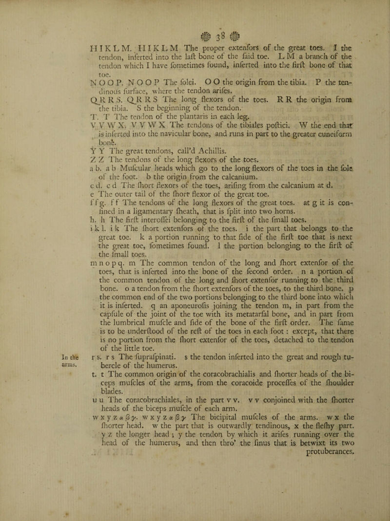 arms. # 38 # III K L M. H IKLM The proper extenfors of the great toes. I the tendon, inferted into the laft bone of the faid toe. L M a branch of the tendon which I have fometimes found, inferted into the lirft bone of that toe. N O O P. N O O P The folei. O O the origin from the tibia. P the ten¬ dinous furface, where the tendon arifes. QJR R S. QJR R S The long flexors of the toes. R R the origin from the tibia. S the beginning of the tendon.- T. T The tendon of the plantarrs in each leg. V V W X. V V W X The tendons of the tibiales poftici. W the end that is inferted into the navicular bone, and runs in part to the greater cuneiform bone. Y Y The great tendons, call’d Achillis. Z Z The tendons of the long flexors of the toes. a b. a b Mufcular heads which go to the long flexors of the toes in the fblc of the foot, b the origin from the calcanium. c d. c d The fhort flexors of the toes, arifing from the calcanium at d. e The outer tail of the fhort1 flexor of the great toe. 1 f g. f f The tendons of the long flexors of the great toes, at g it is con- fined in a ligamentary fheath, that is fplit into two horns. h. h The firft interofiei belonging to the firft of the fmall toes. i k 1. i k The fhort extenfors of the toes, i the part that belongs to the great toe. k a portion running to that fide of the firft toe that is next the great toe, fometimes found. 1 the portion belonging to the firft of the fmall toes. m n o p q. m The common tendon of the long and fhort extenfor of the toes, that is inferted into the bone of the fecond order, n a portion of the common tendon of the long and fhort extenfor running to the third bone, o a tendon from the fhort extenfors of the toes, to the third bone, p the common end of the two portions belonging to the third bone into which it is inferted. q an aponeurofis joining the tendon m, in part from the capfule of the joint of the toe with its metatarfal bone, and in part from the lumbrical mufcle and fide of the bone of the firft order. The fame is to be underftood of the reft of the toes in each foot: except, that there is no portion from the fhort extenfor of the toes, detached to the tendon of the little toe. bercle of the humerus. t. t The common origin of the coracobrachialis and fhorter heads of the bi¬ ceps mufcles of the arms, from the coracoide procefles of the fhoulder blades. u u The coracobrachiales, in the part v v. v v conjoined with the fhorter heads of the biceps mufcle of each arm. w x y z a, (3 y. wxyza/3^ The bicipital mufcles of the arms, w x the fhorter head, w the part that is outwardly tendinous, x the flelhy part, y z the longer head ; y the tendon by which it arifes running over the head of the humerus, and then thro’ the finus that is betwixt its two protuberances.