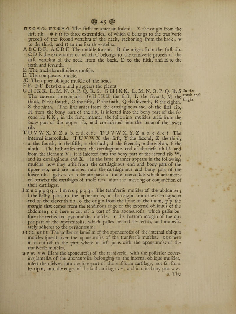 #45 # III $ ? ft. II 2 <f> ¥ XI The firft or anterior fcaleni. I the origin from the firft rib. 4> Y XI its three extremities, of which <5 belongs to the tranfverfe procefs of the fecond vertebra of the neck, reckoning from the back; ¥ to the third, and XI to the fourth vertebra. ABCDE. ACDE The middle fcaleni. B the origin from the firft rib. C D E the extremities of which C belongs to the tranfverfe procefs of the firft vertebra of the neck from the back, D to the fifth, and E to the fixth and feventh. E The trachelomaftoideus mufcls. E The complexus mufcle. JE The upper oblique mufcle of the head'. F F. E F Betwixt ?r and o appears the pleura. GHIKK. L.M.N.O.P.Q.R.S: GHIKK. L. M. N. O. P. Q^R. S The external intercoftals. GHIKK the firft, L the fecond, M the third, N the fourth, O the fifth, P the fixth, Qjihe feventh, R the eighth, S the ninth. The firft arifes from the cartilaginous end of. the firft rib, H from the bony part of the rib, is inferted into the bony part of the fe¬ cond rib K K •, in the fame manner the following mufcles arile from the bony part of the upper rib, and are inferted into the bone of the lower rib. TUVWX.Y.Z.a.b.c.d.e.f: T U V W X. Y. Z. a. b. c. d. e. f The internal intercoftals. TUVWX the firft, Y the fecond, Z the third, a the fourth, b the fifth, c the fixth, d the feventh, e the eighth, f the ninth. The firft arifes from the cartilaginous end of the firft rib U, and. from the fternum V; it is inferted into the bony part of the fecond rib W, and its cartilaginous end X. In the fame manner appears in the following mufcles how they arife from the cartilaginous end and bony part of the upper rib, and are inferted into the cartilaginous and bony part of the lower rib. g. h. i. k : h denote parts of thofe intercoftals which are infert¬ ed betwixt the cartilages of thofe ribs,, after the meeting or conjunction of their cartilages. lmnoppqqr. lmnoppqqr The tranfverfe mufcles of the abdomen ; 1 the fiefhy part, m the aponeurofis, n the origin from the cartilaginous end of the eleventh rib, o the origin from the fpine of the ilium, p p the margin that comes from the tendinous edge of the external obliquus of the abdomen; q q here is cut off a part of the aponeurofis, which paffes be¬ fore the reClus and pyramidalis mufcle. r the bottom margin of the up¬ per part of the aponeurofis, which paffes behind the refills, and immedi¬ ately adheres to the peritonaeum. sttt. sttt The pofterior lamellae of the aponeurofes of the internal oblique mufcles fpread over the aponeurofes of the tranfverfe mufcles. 111 here it is cut off in the part where it firft joins with the aponeurofes of the tranfverfe mufcles. u v w. v v/ Here the aponeurofes of the tranfverfe, with the pofterior cover* ing lamellae of the aponeurofes belonging to the internal oblique mufcles, infert themfelves into the fore-part ol the enfiform cartilage, not far from its tip u, into the edges of the faid cartilage v v, and into its bony part w w. X. The In the trunk and thighs. O