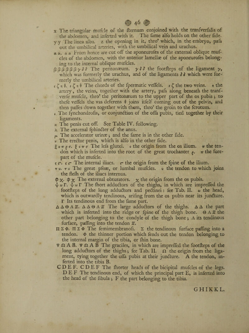 x The triangular mufcle of the fternum conjoined with the tranfverfalis of the abdomen, and inferted with it. The fame alfo holds on the other fide. V y The linea alba, z the opening in it, thro’ which, in the embryo, pafs out the umbilical arteries, with the umbilical vein and urachus, a a. a a From hence are cut off the aponeurofes of the external oblique muf- cles of the abdomen, with the anterior lamellae of the aponeurofes belong¬ ing to the internal oblique muicles. /3/3|3(3|3/3>'c5'J' The peritonaeum, y$S the footfteps of the ligament y, which was formerly the urachus, and of the ligaments $ $ which were for¬ merly the umbilical arteries. £ ‘C vt 9. s ^ ?i 9 The chords of the fpermatic veffels. £ f the two veins, n the artery, the veins, together with the artery, pafs along beneath the tranf- verfe mufcle, thro’ the peritonaeum to the upper part of the os pubis *, to thefe veffels the vas deferens 0 joins itfelf coming out of the pelvis, and then paffes down together v/ith them, thro’ the groin to the fcrotum. * The fynchondrofis, or conjunction of the offa pubis, tied together by their ligaments. k The penis cut off. See Table IV. following. a The external fphindter of the anus. y The accelerator urinas; and the fame is in the other fide. v The erector penis, which is alfo in the other fide. % o tt g <t. £ o 7r <t The lefs glutei, o the origin from the os ilium, tt the ten¬ don which is inferted into the root of the great trochanter £. tt the fore¬ part of the mufcle. ? r. ? r The internal iliacs. r the origin from the fpine of the ilium. tu.tu The great pfoae, or lumbal mufcles. u the tendon to which joins the flelh of the iliacs internus. <P X' X The external obturators, x the origin from the os pubis. ^ w r The fhort addudtors of the thighs, in which are impreffed the footfteps of the long addudtors and pedtinei: fee Tab. II. u the head, which is outwardly tendinous, arifmg from the os pubis near its jundture. r Its tendinous end from the fame part. A A 0 A H. A A 0 A E The large addudtors of the thighs. A A the part which is inferted into the ridge or fpine of the thigh bone. 0 A H the other part belonging to the condyle of the thigh bone; A its tendinous lurface, palling into the tendon H. IlS^. The femimembranoft. X the tendinous furface palling into a tendon. # the thinner portion which fends out the tendon belonging to the internal margin of the tibia, or Ihin bone. ¥ n A B. TllAB The graciles, in which are impreffed the footfteps of the long addudtors of the thighs j fee Tab. II. £1 the origin from the liga¬ ment, tying together the offa pubis at their jundture. A the tendon, in¬ ferted into the tibia B. CDEF. CDEF The fhorter heads of the bicipital mufcles of the legs. D E F The tendinous end, of which the principal part E, is inferted into the head of the fibula * F the part belonging to the tibia. GHIKKL.
